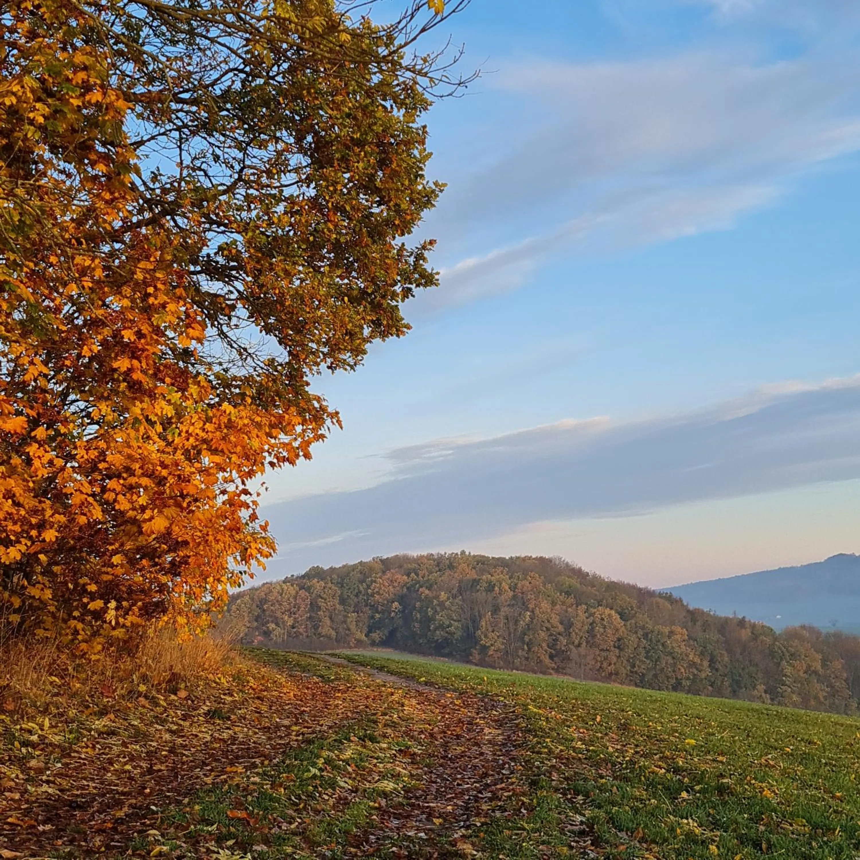 Spring in Urlaubsdomizil Am Töpfer - Ferienwohnungen in Olbersdorf