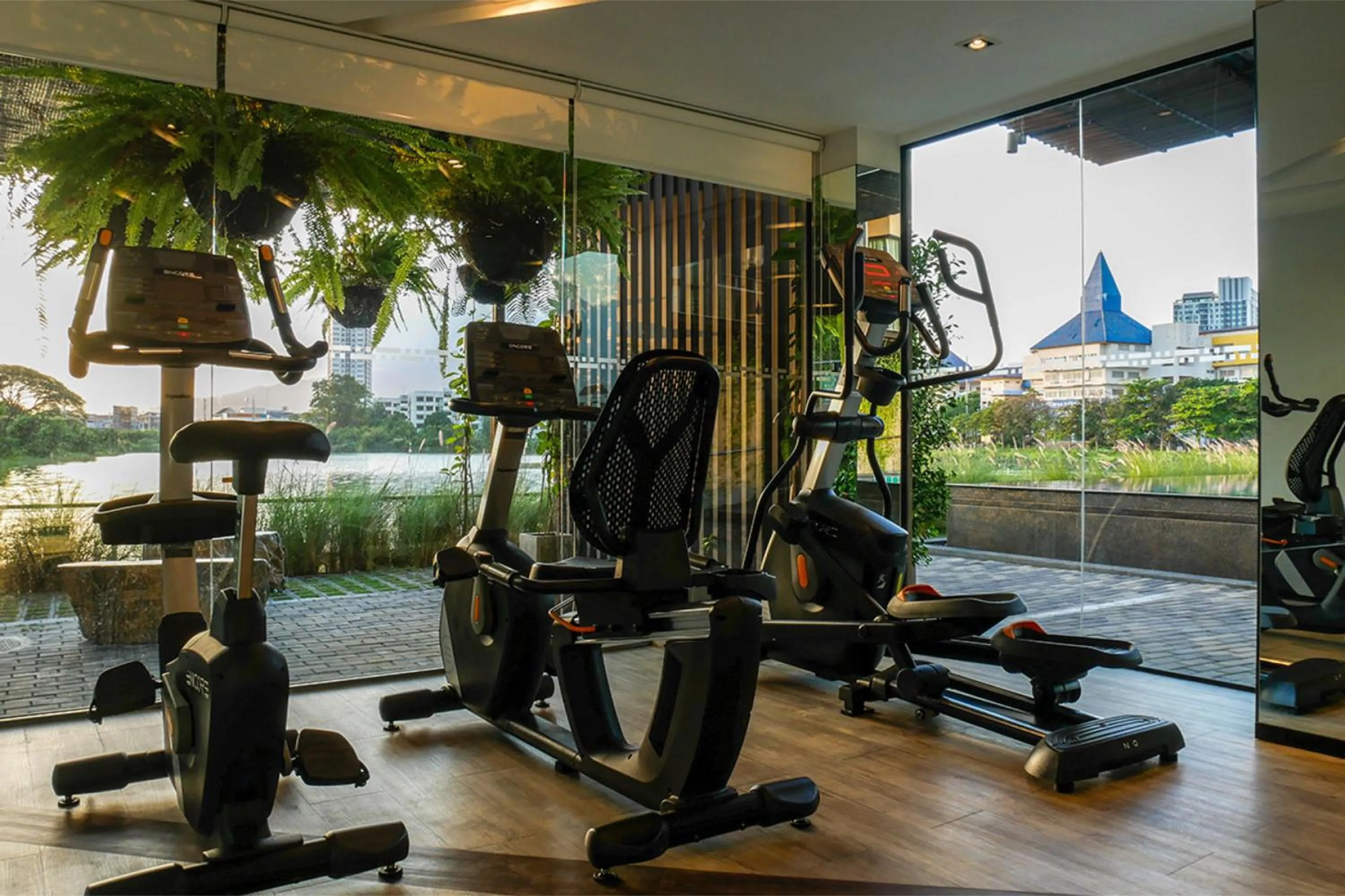 Fitness centre/facilities in Brique Suite