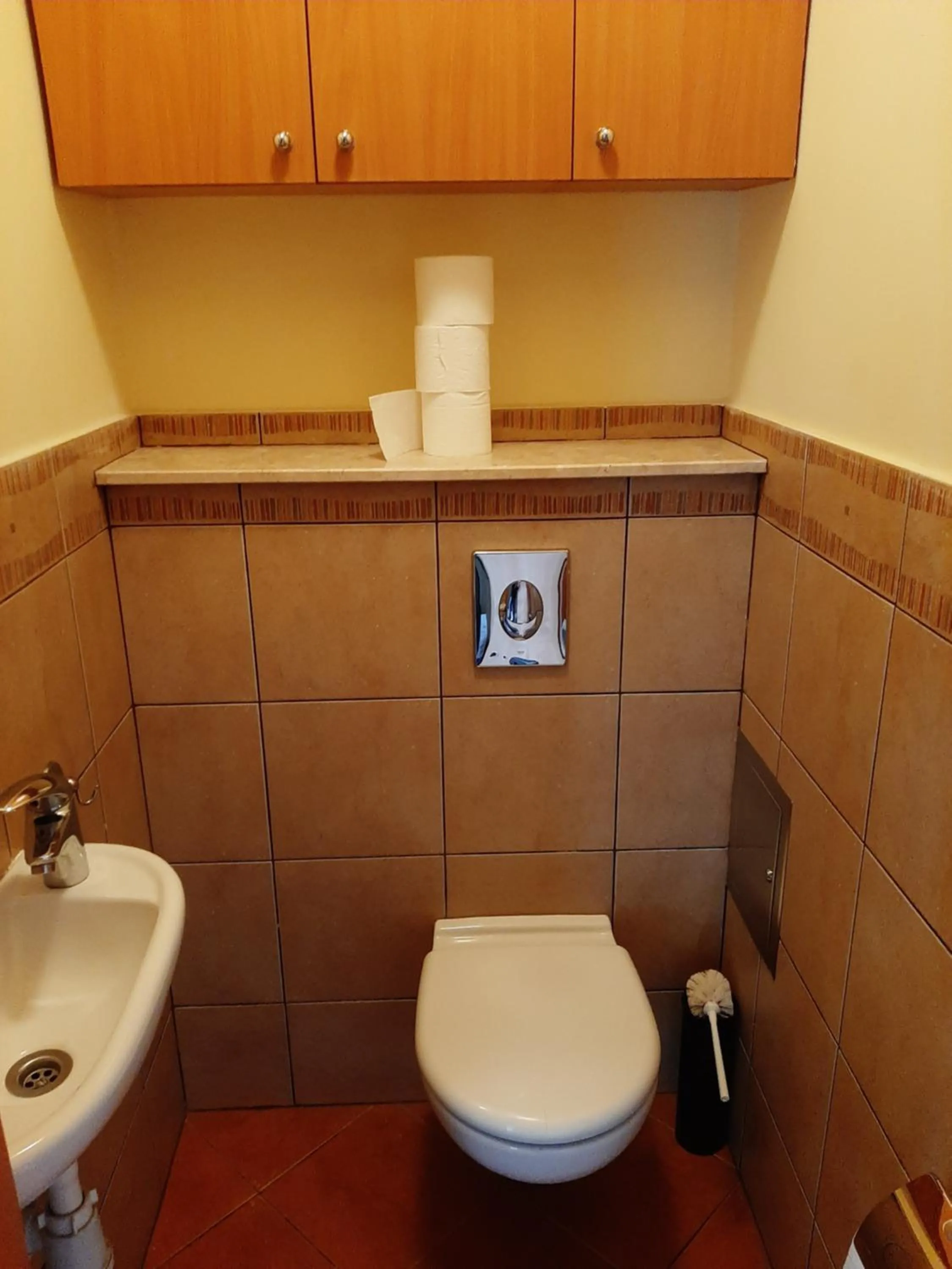 Toilet in Ivory House (Marymont-Ruda)
