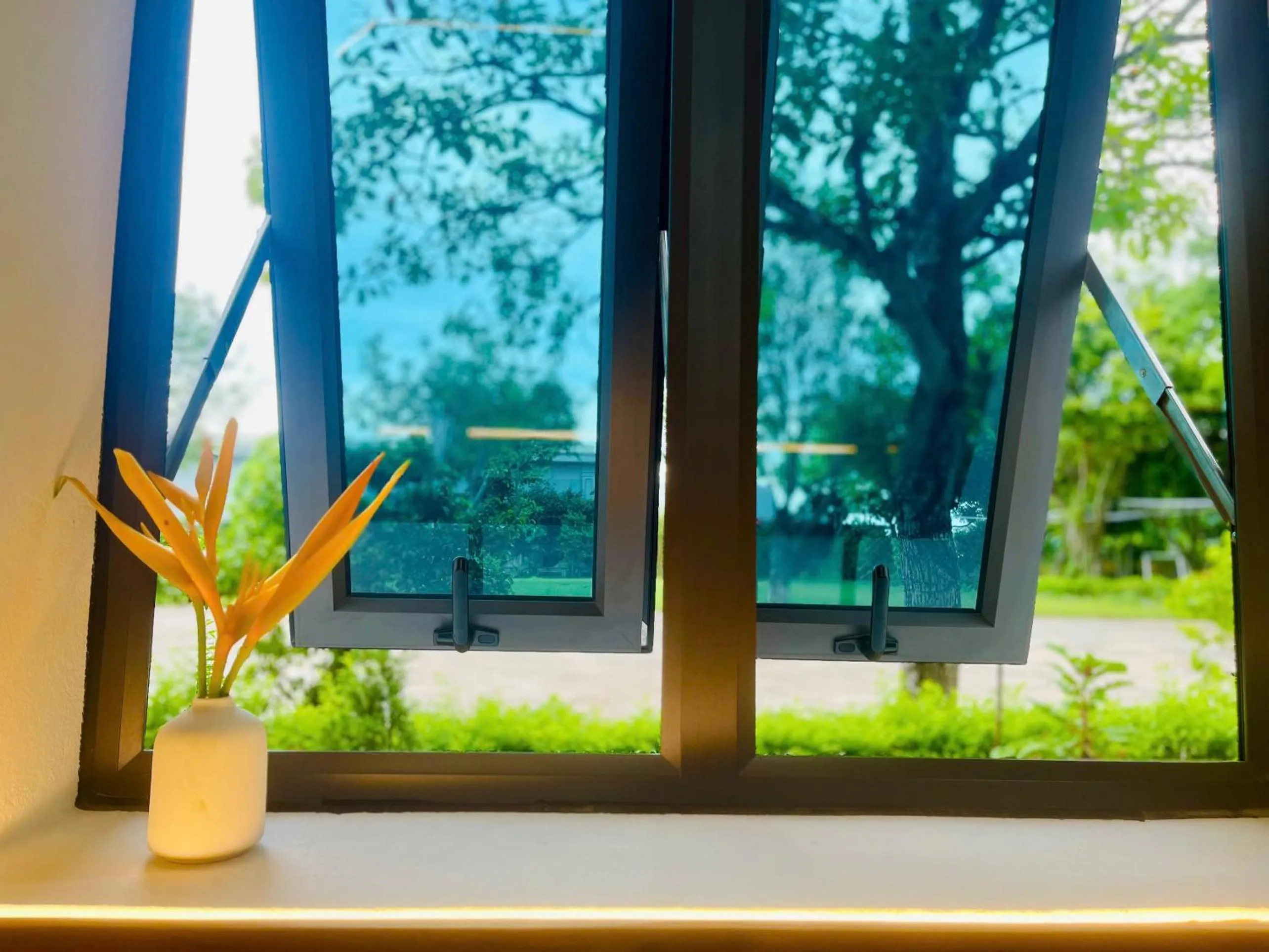 View (from property/room) in Hoa Lu Garden Resort