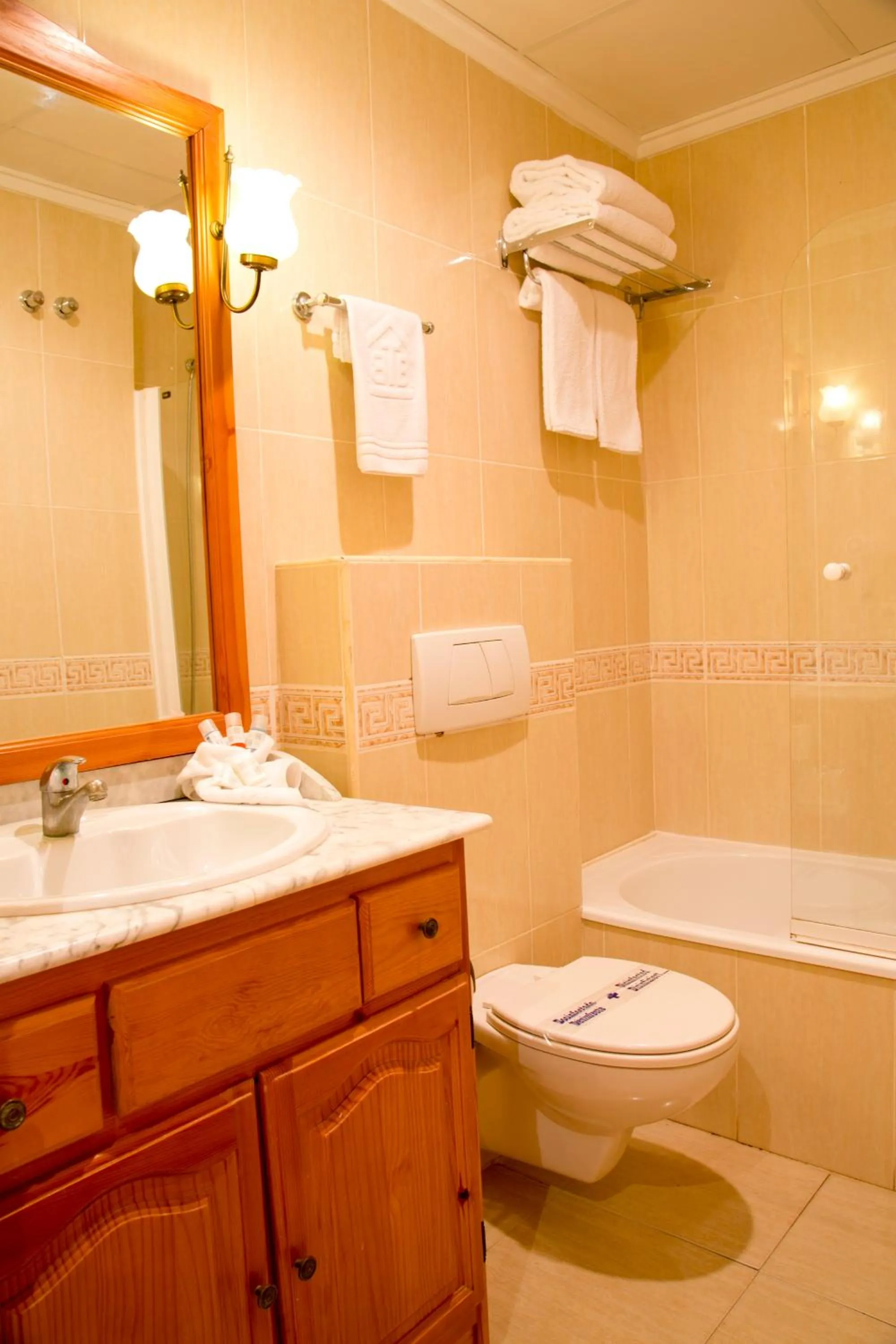 Bathroom in Aparthotel Bahia Pinosol