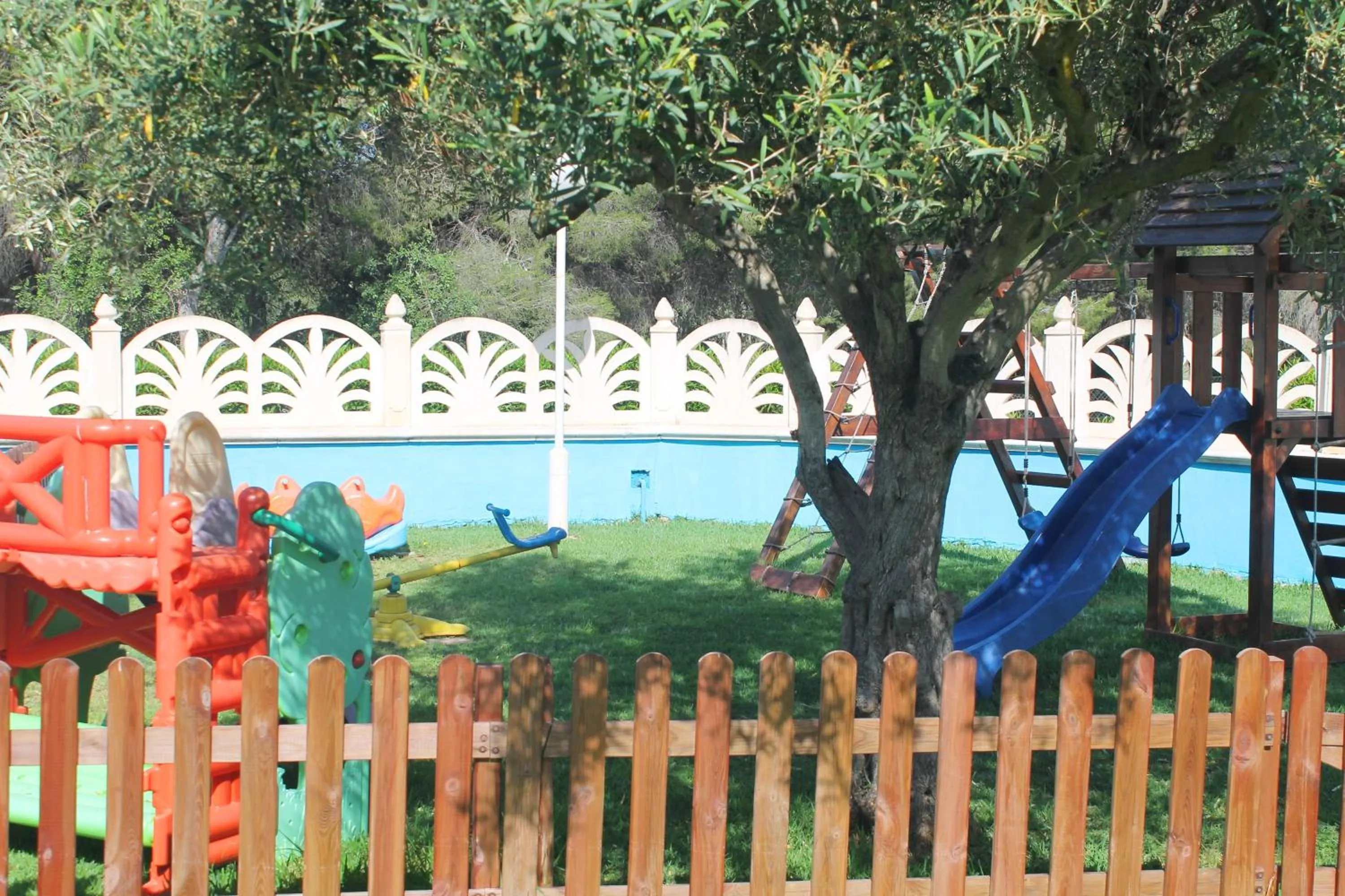 Activities in Aparthotel Bahia Pinosol