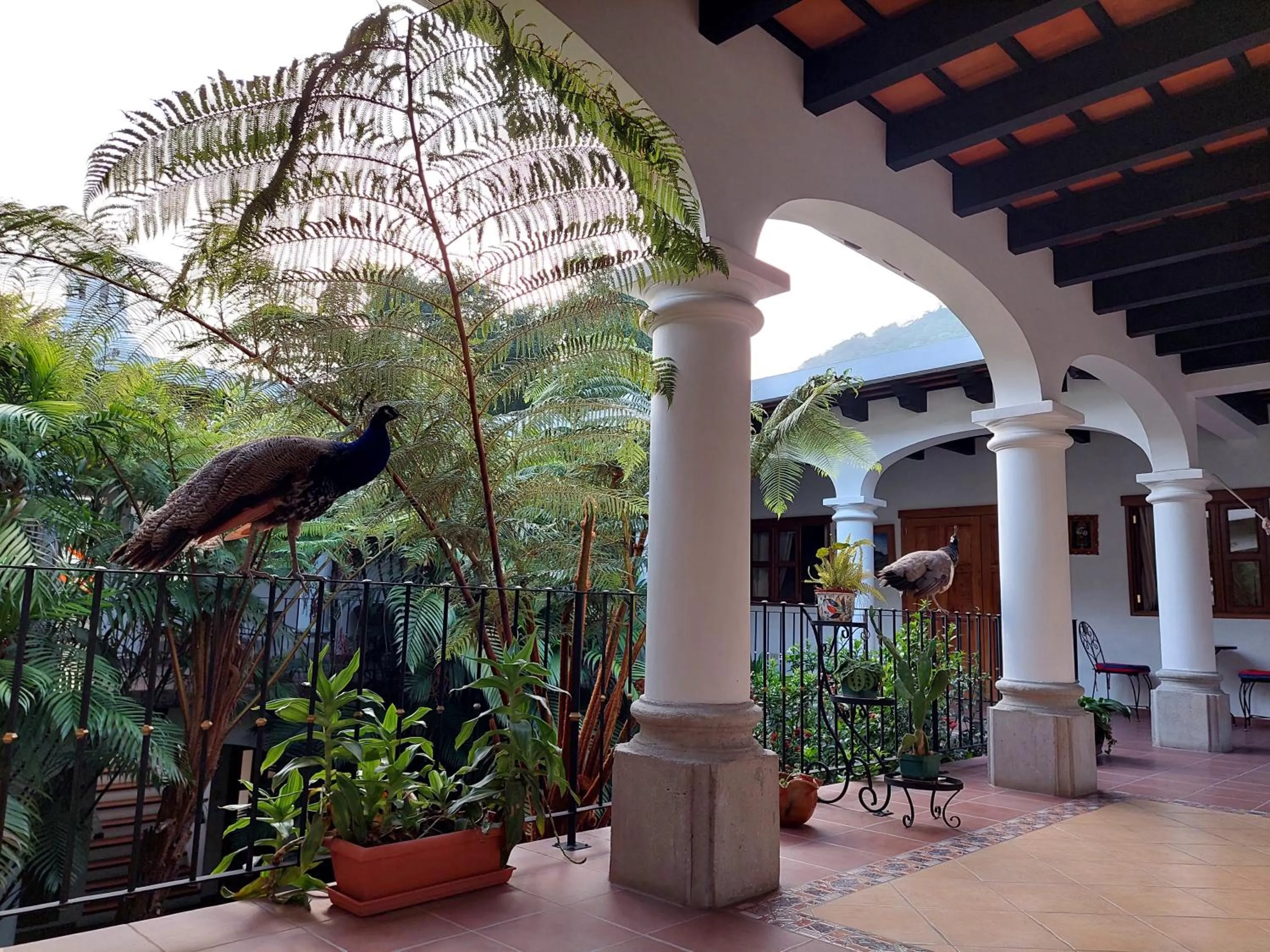 Property building in Hotel y Jardines Casa Búho