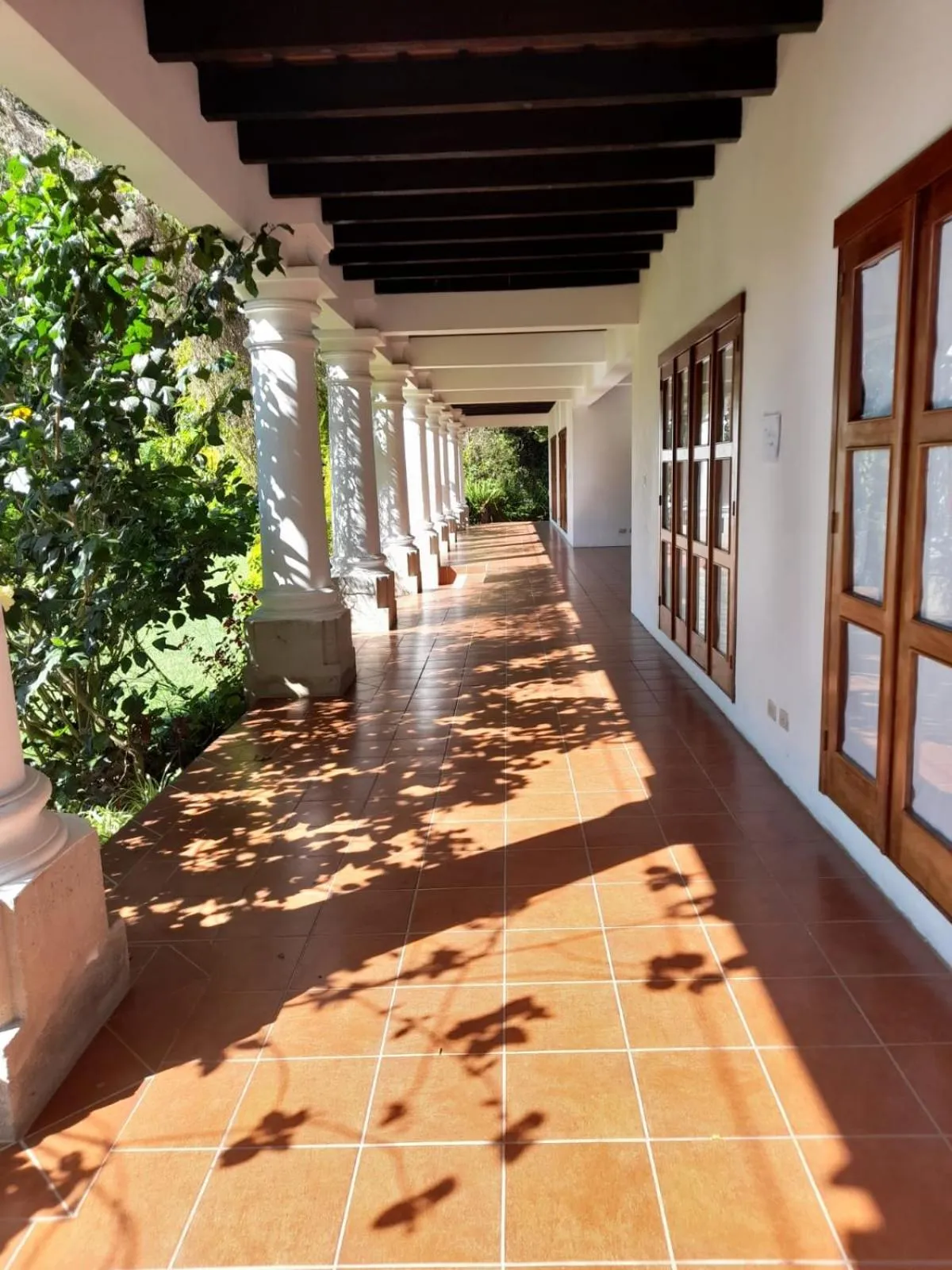 Inner courtyard view in Hotel y Jardines Casa Búho