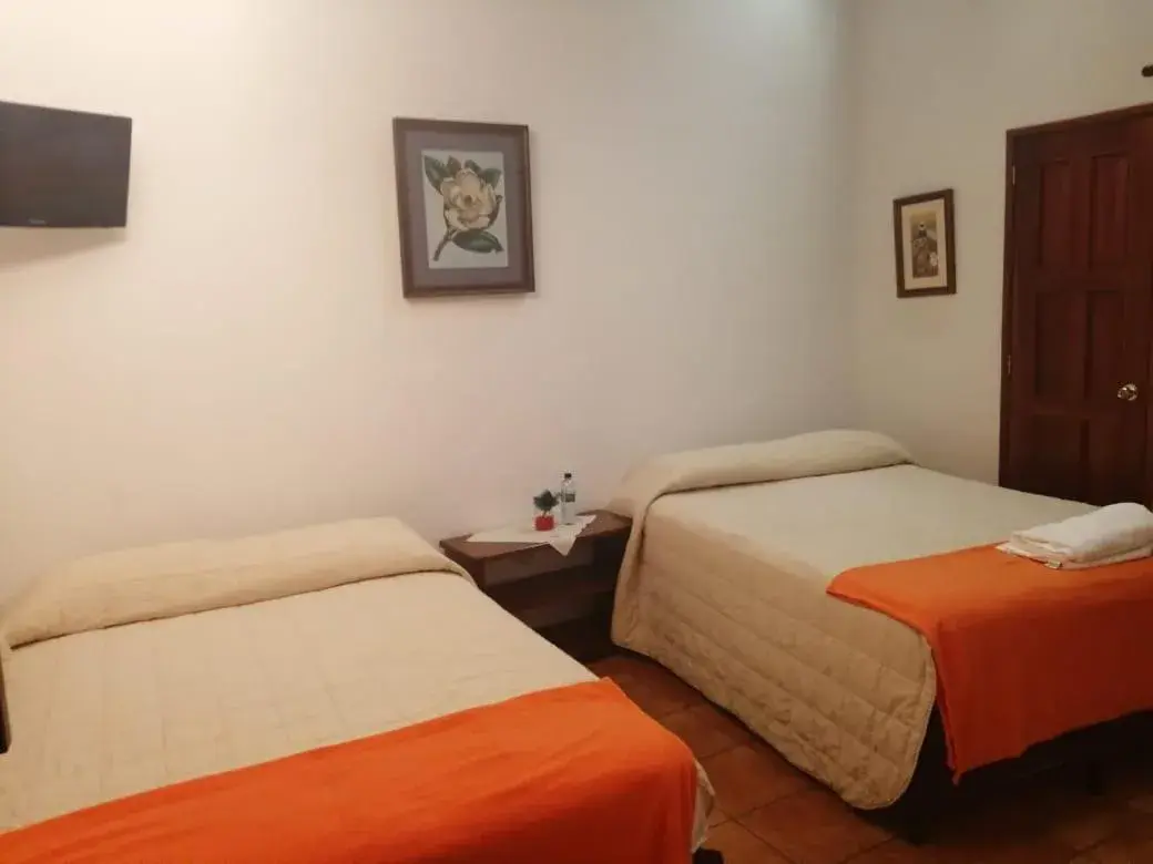 Bed in Hotel y Jardines Casa Búho Bed in Hotel y Jardines Casa Búho