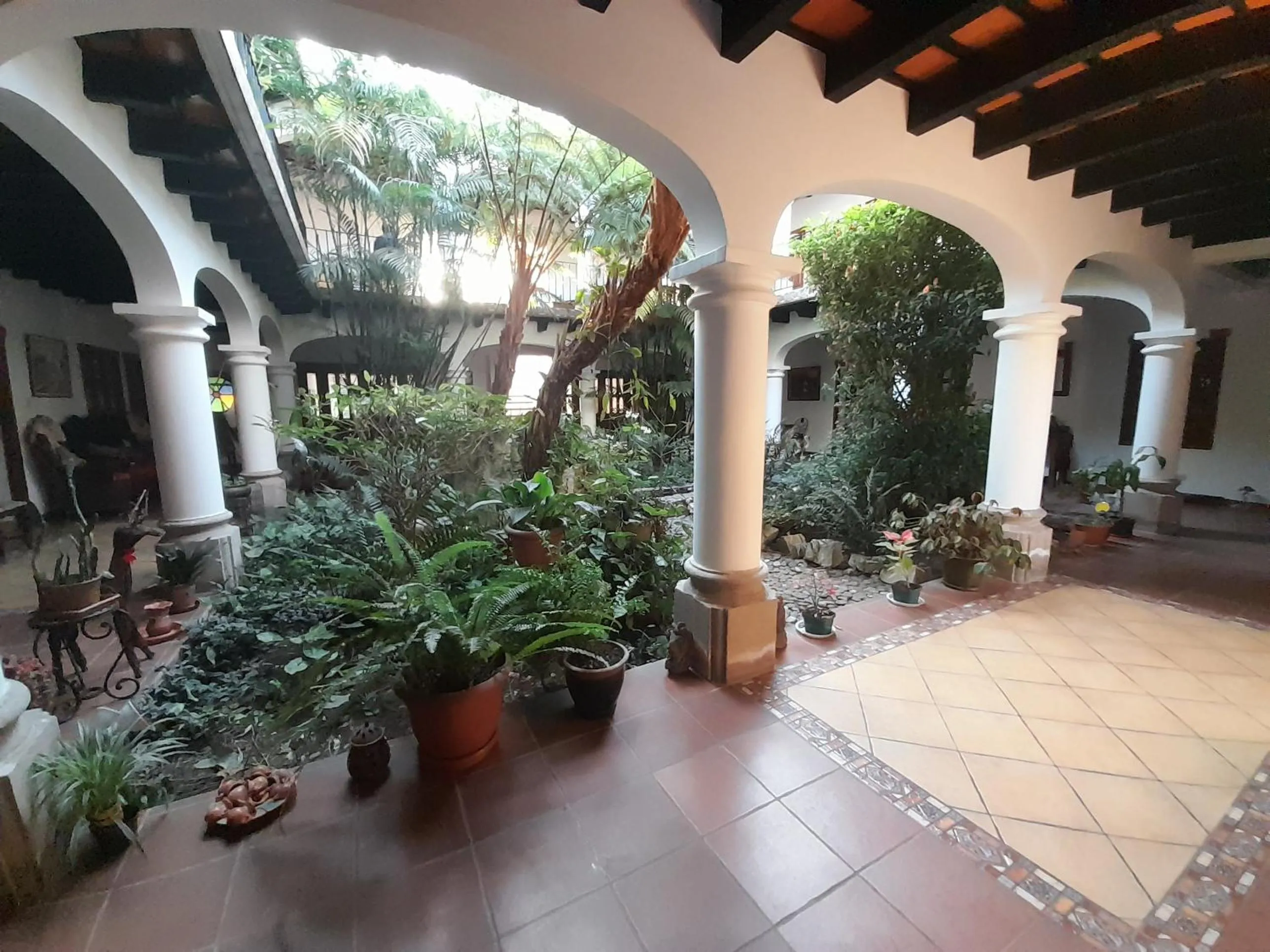 Patio in Hotel y Jardines Casa Búho