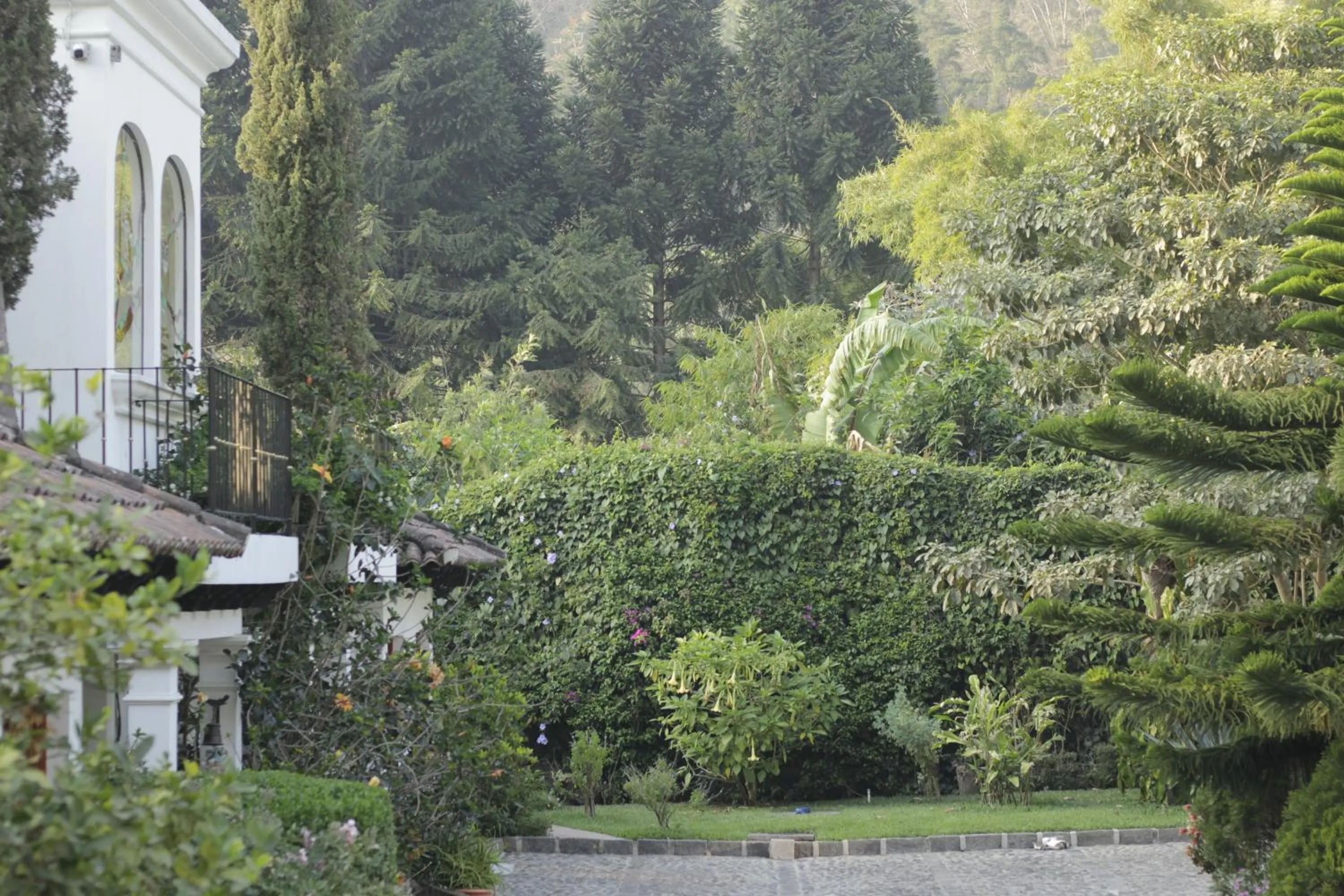Natural landscape in Hotel y Jardines Casa Búho