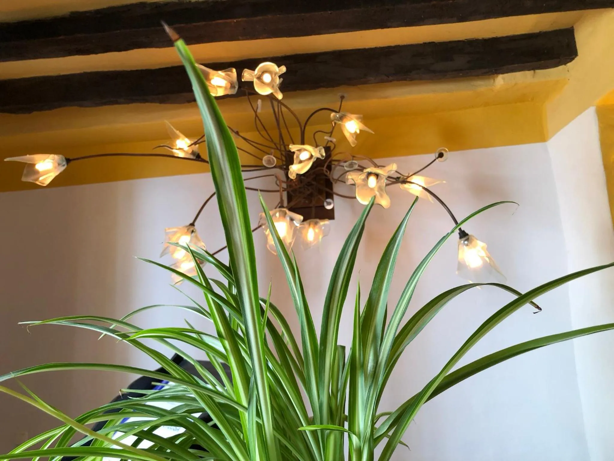 Lobby or reception in La Fructuosa