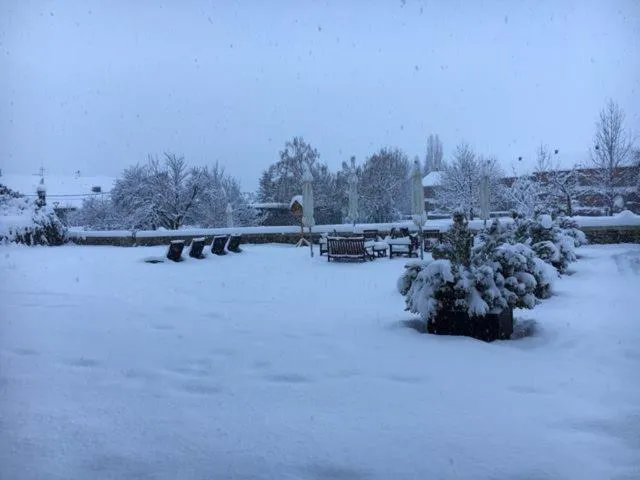 Winter in Hotel Bernat de So