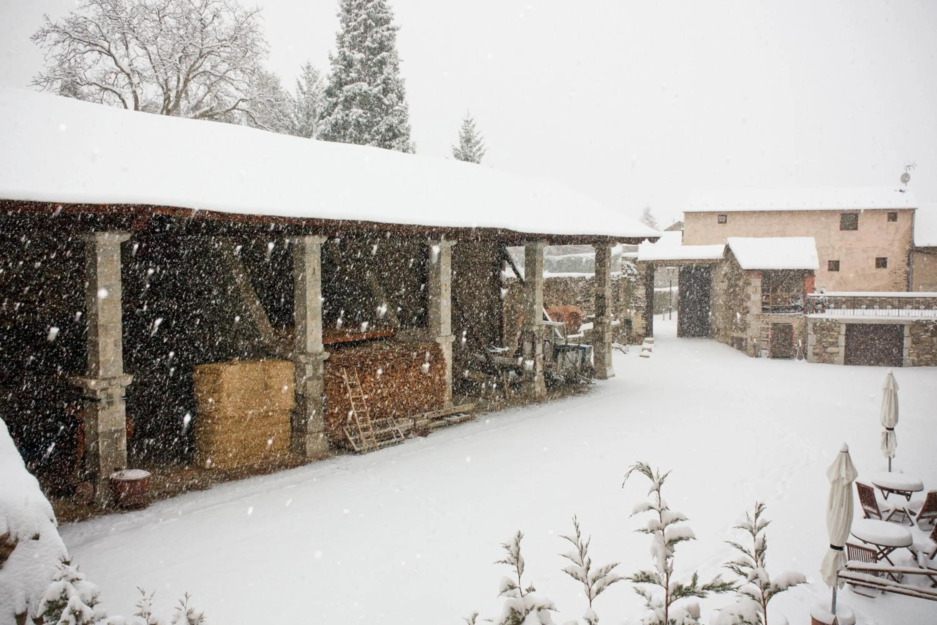 Facade/entrance in Hotel Bernat de So