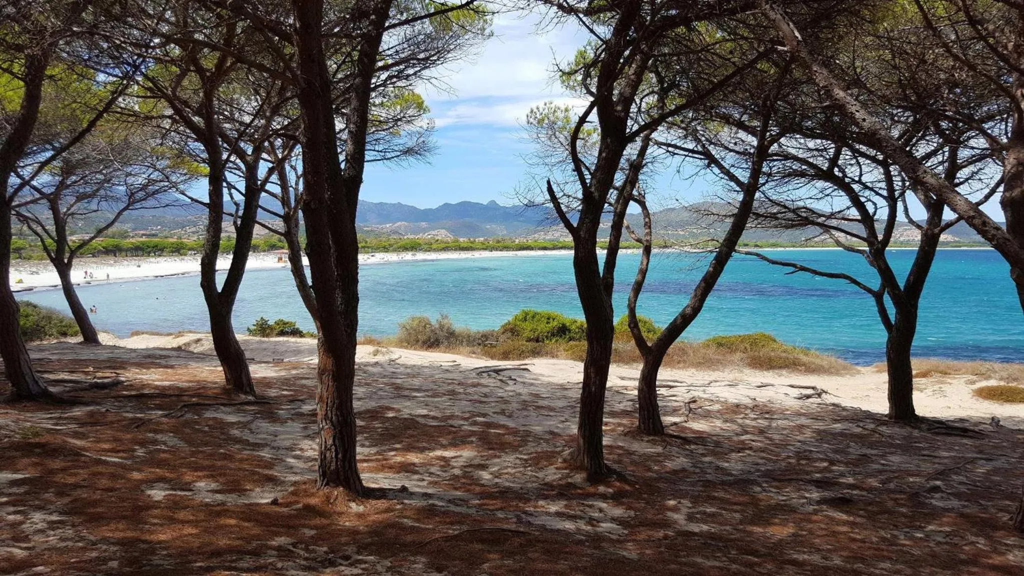 Natural landscape in Valtur Baia dei Pini