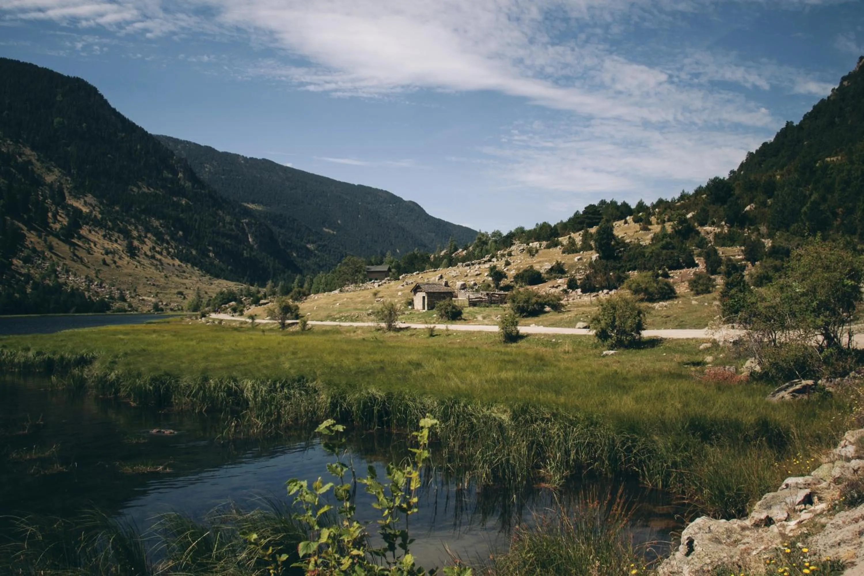 Natural landscape in Hotel Manantial