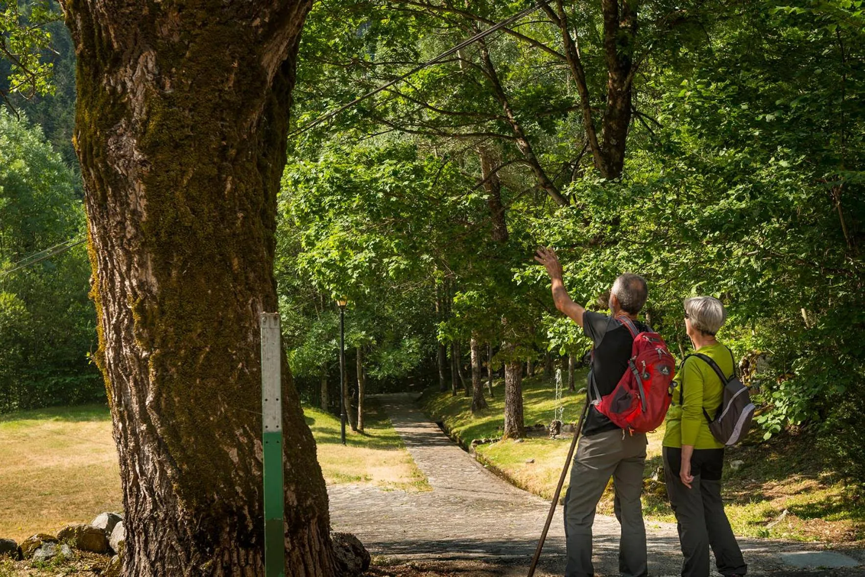 Garden in Hotel Manantial