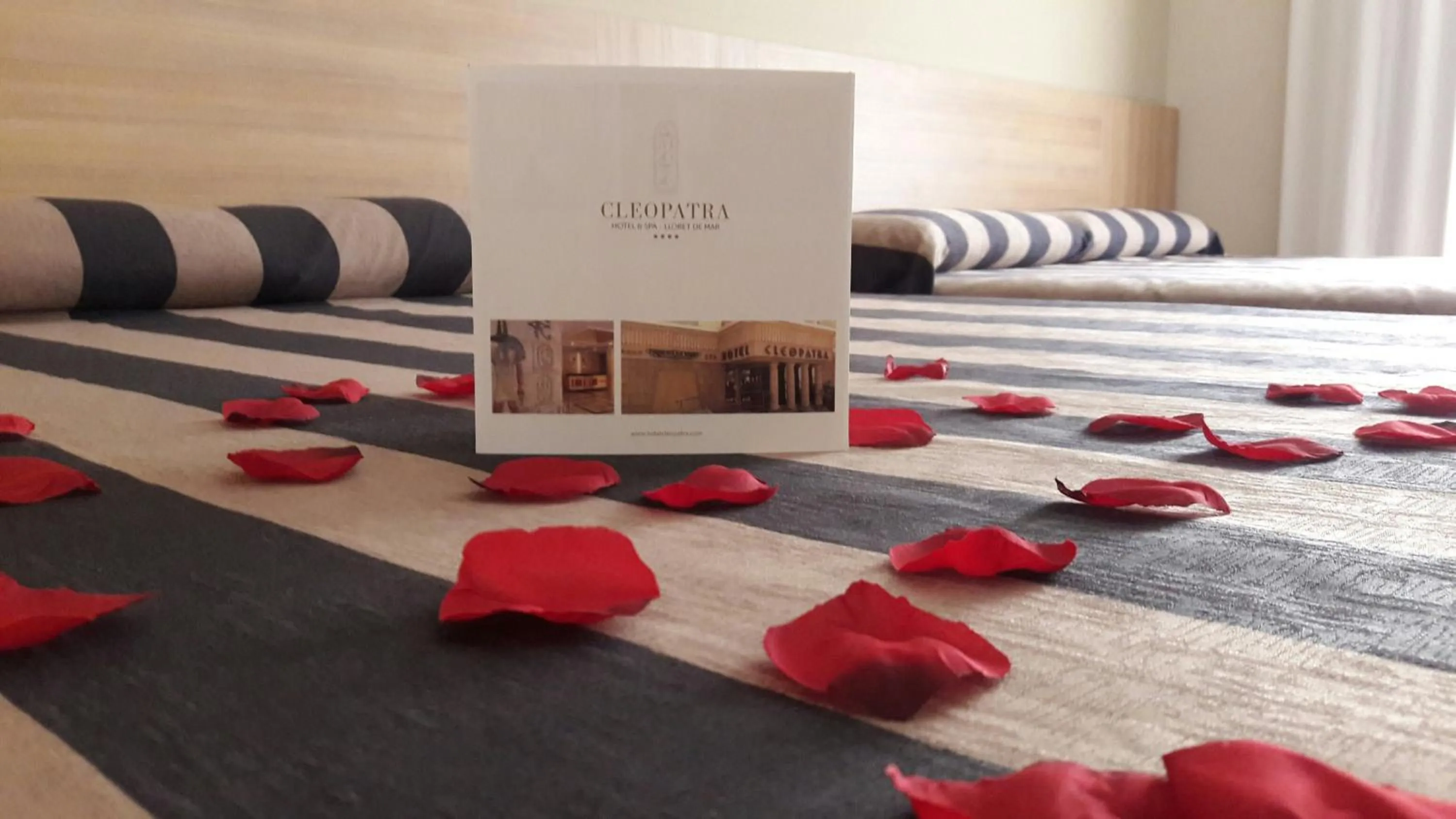 Bed in Cleopatra Spa Hotel