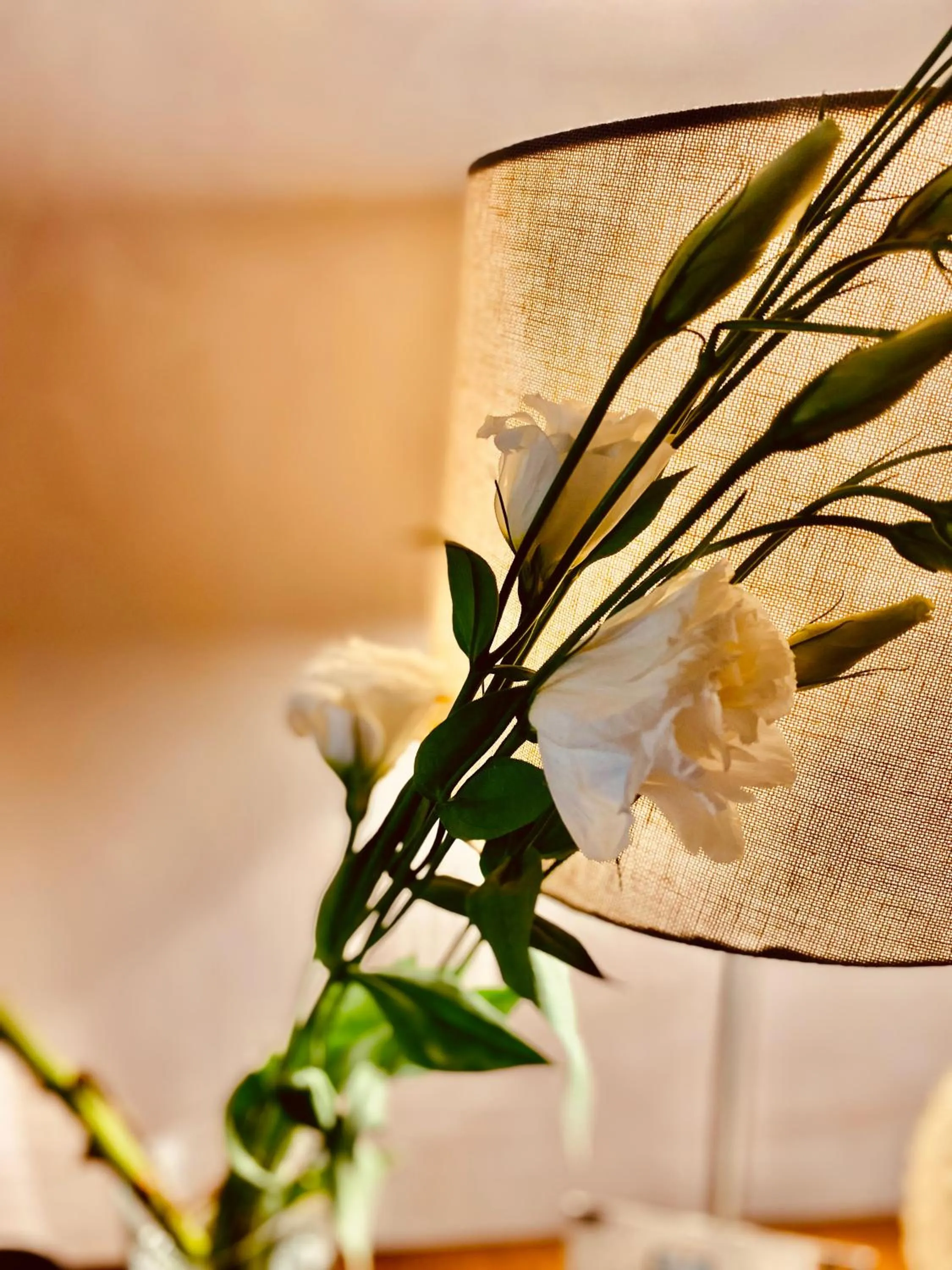 Lobby or reception in Tamrah Suites Hotel