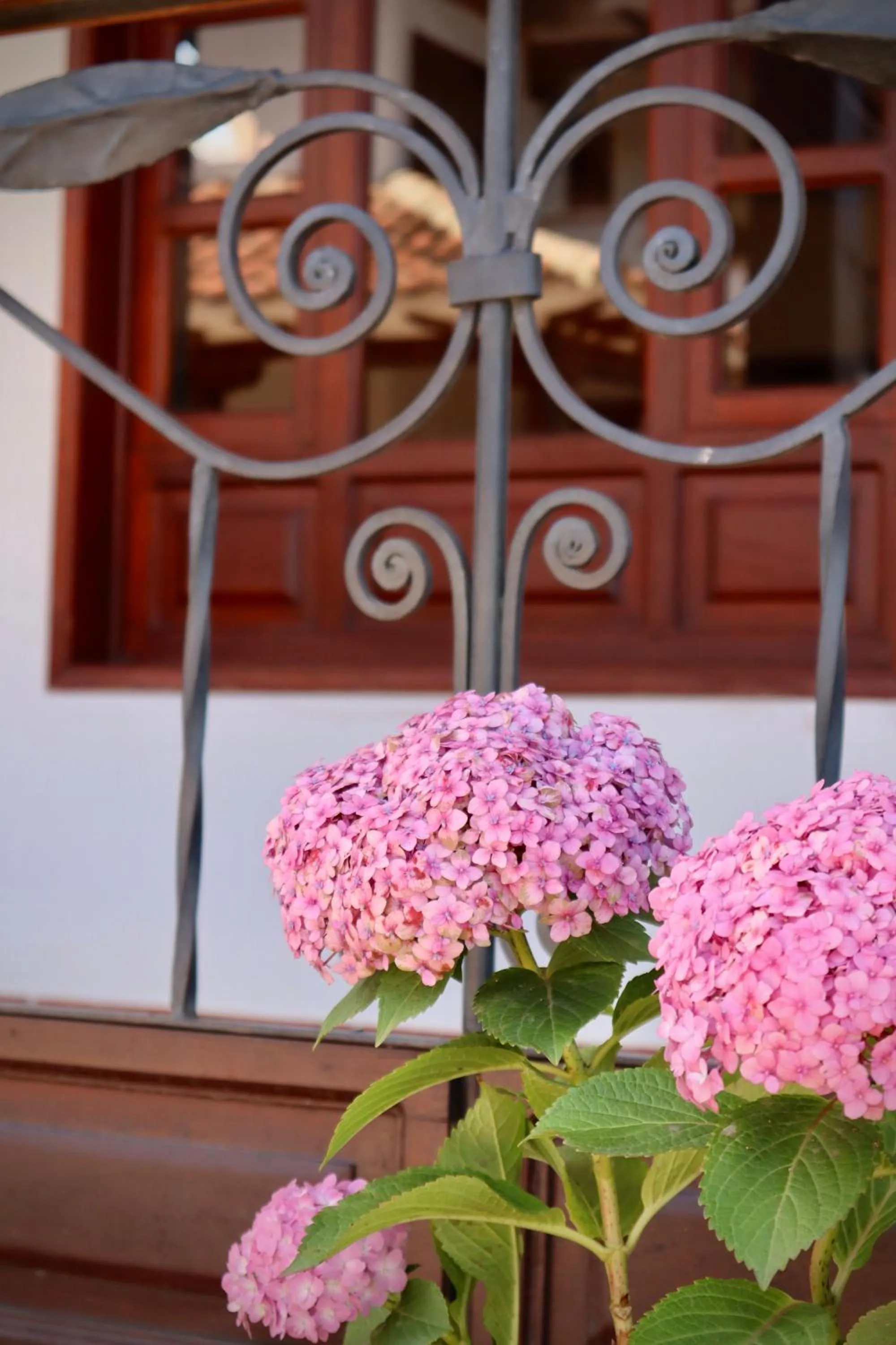 View (from property/room) in Hotel Bosque de la Villa