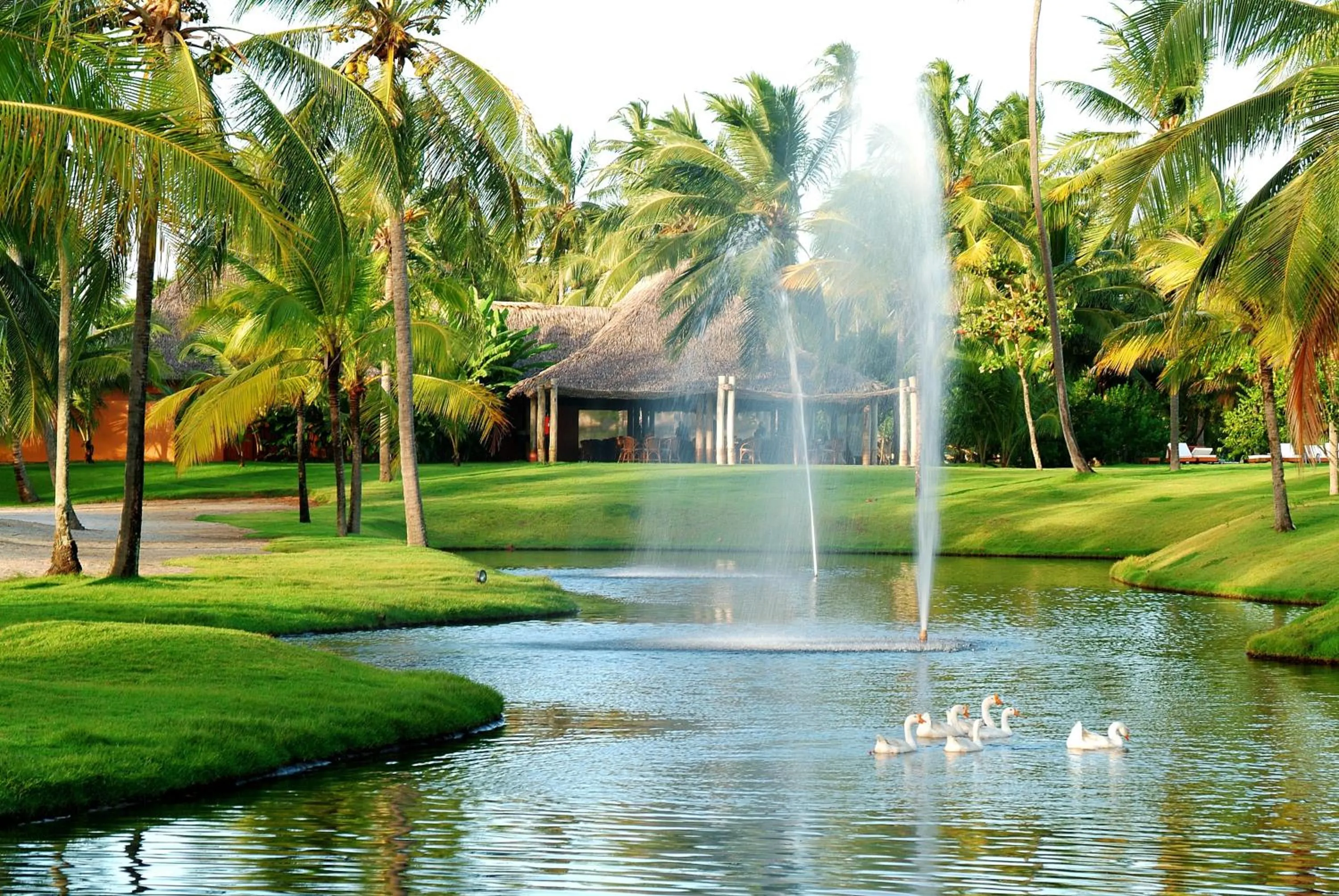 Natural landscape in Tivoli Ecoresort Praia do Forte