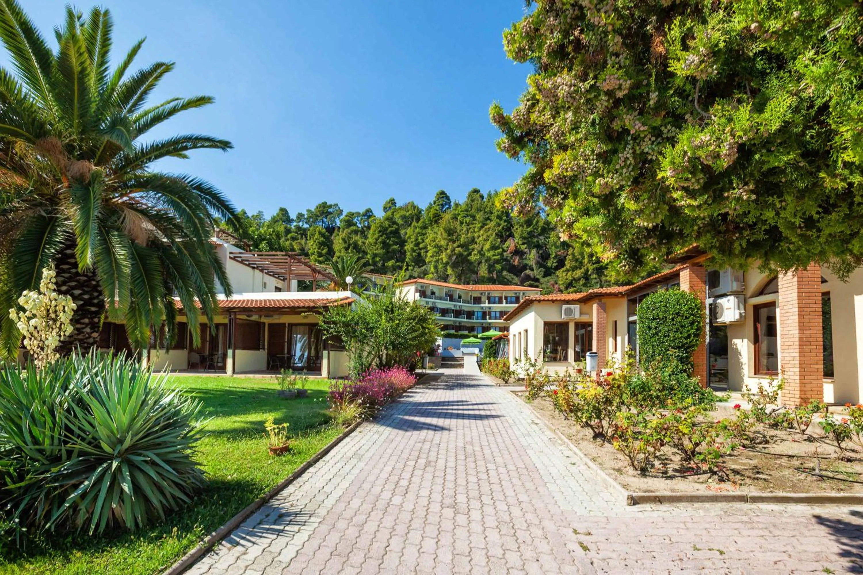 Facade/entrance in Palladium Hotel