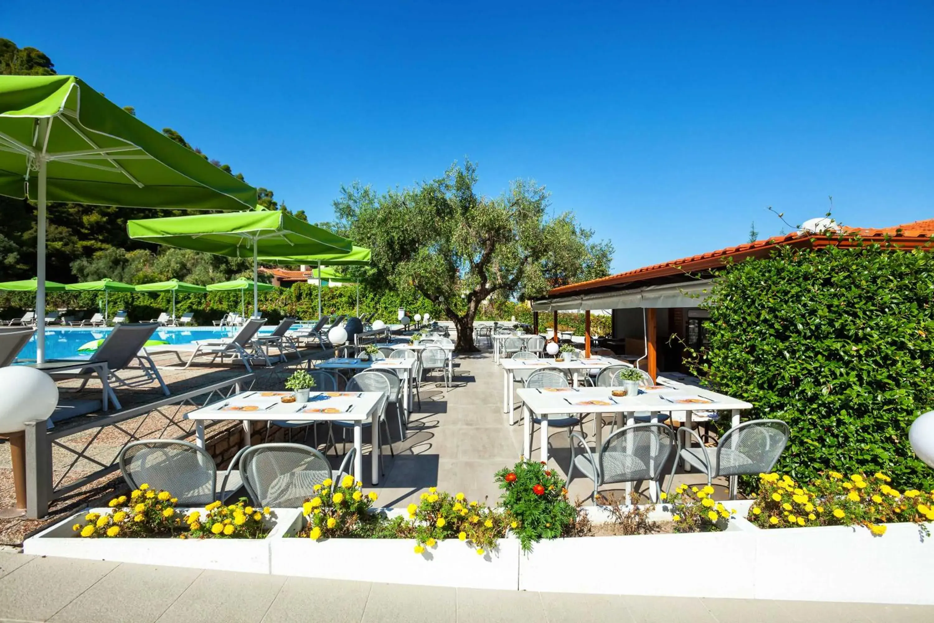 Restaurant/places to eat in Palladium Hotel Restaurant/places to eat in Palladium Hotel