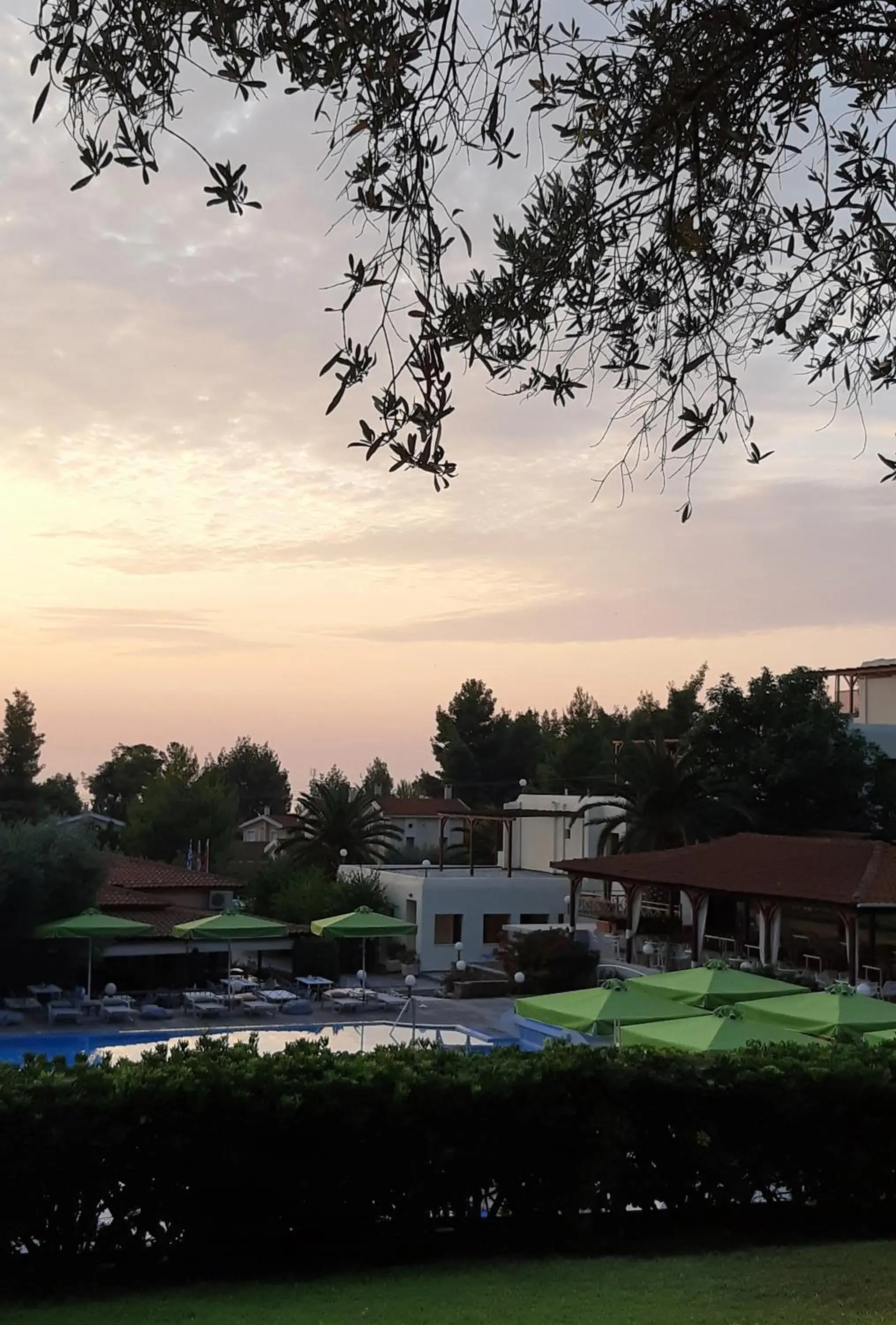 Swimming pool in Palladium Hotel Swimming pool in Palladium Hotel