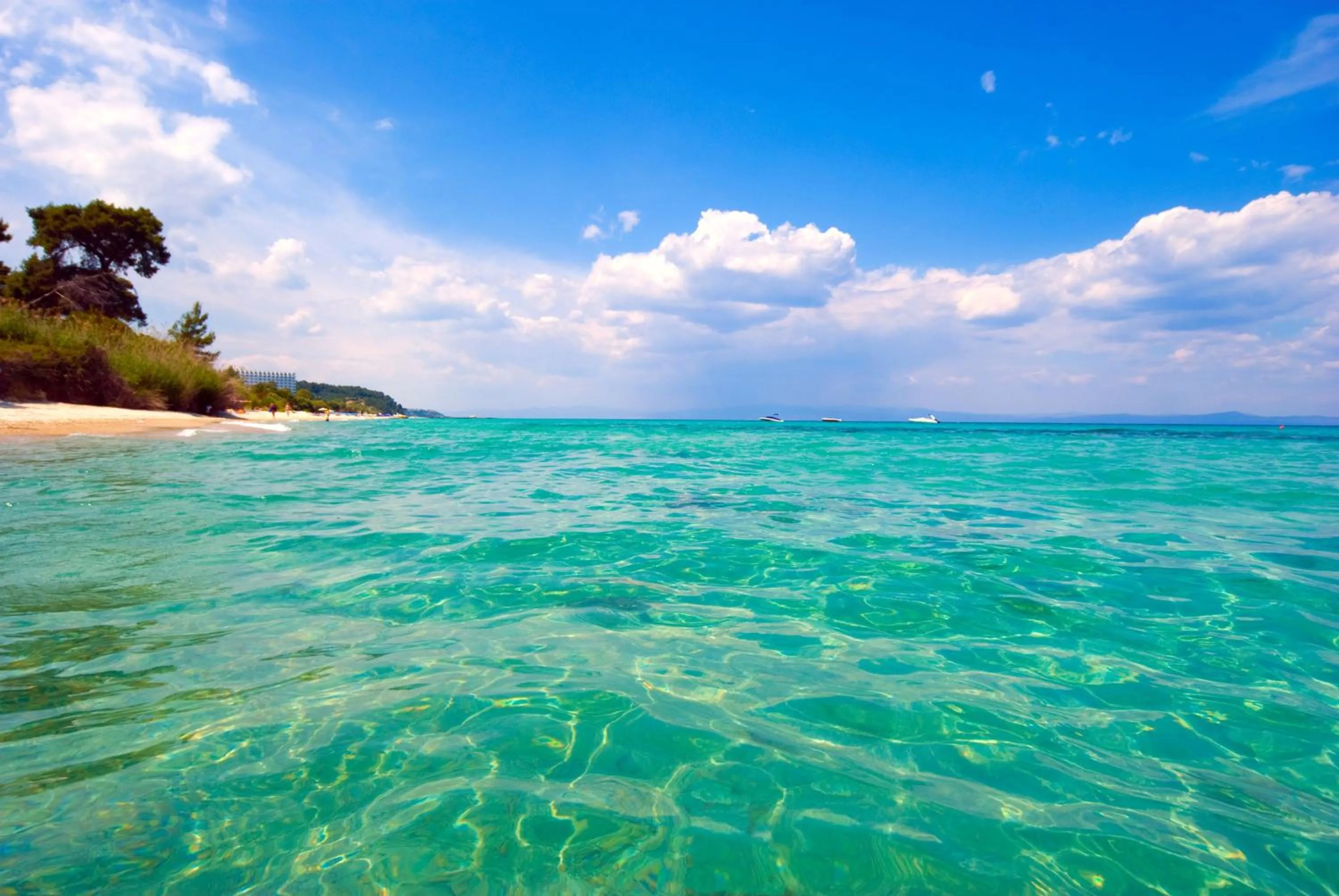 Natural landscape in Palladium Hotel