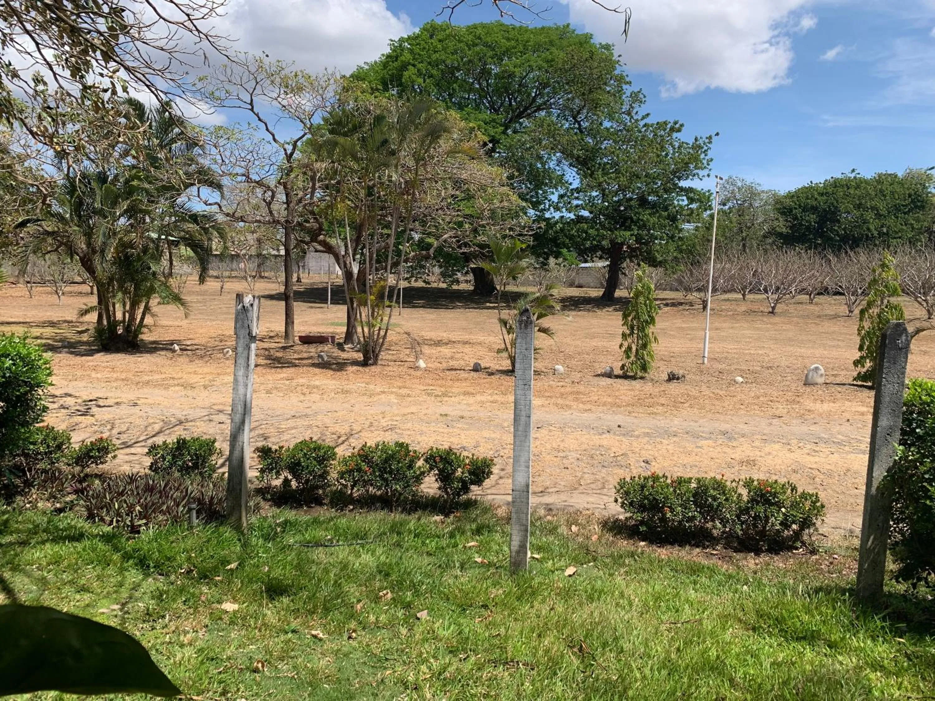Garden in Hotel Del Aserradero
