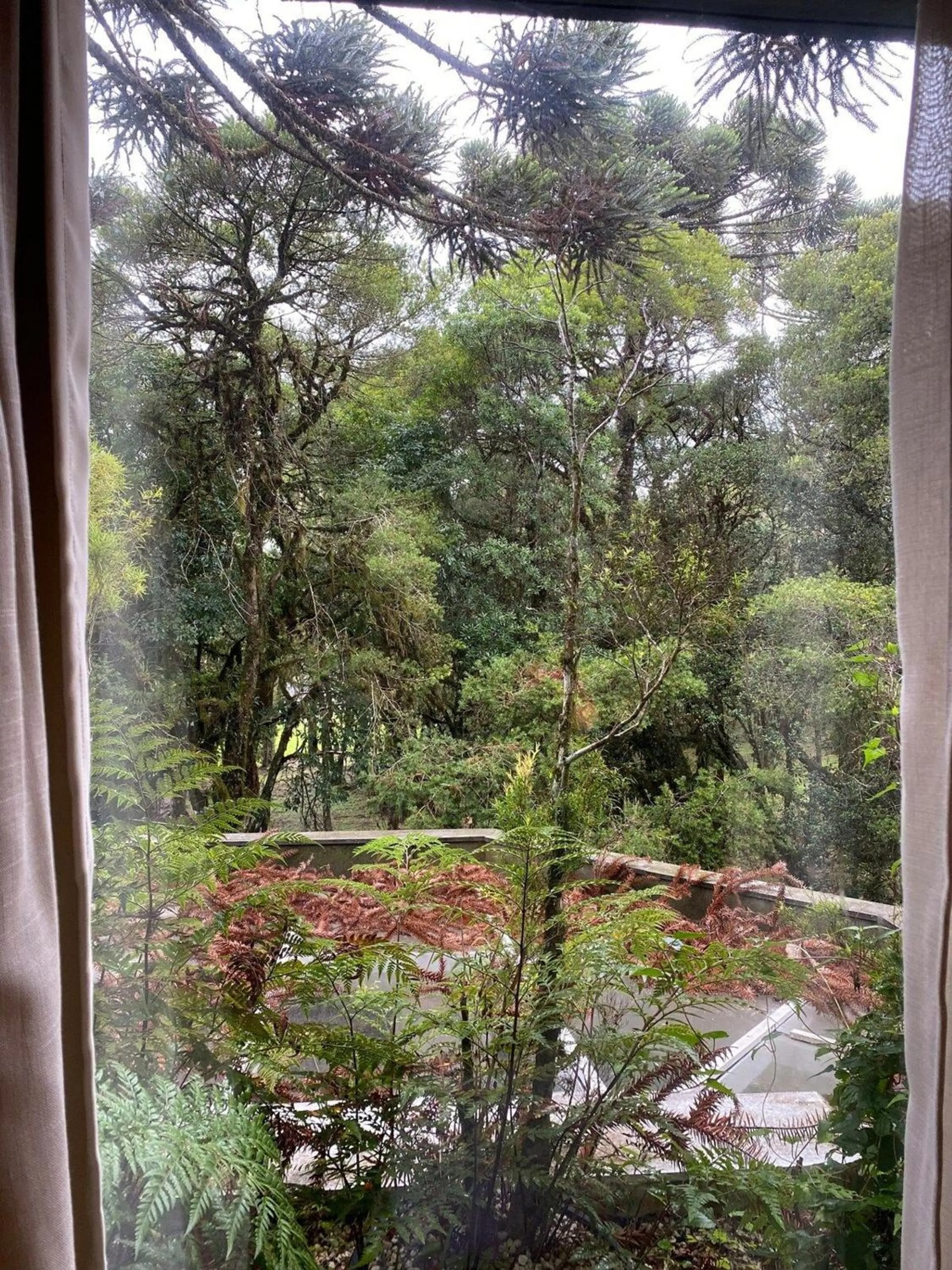 Luxuoso Studio 2007 Laje de Pedra Gramado Canela