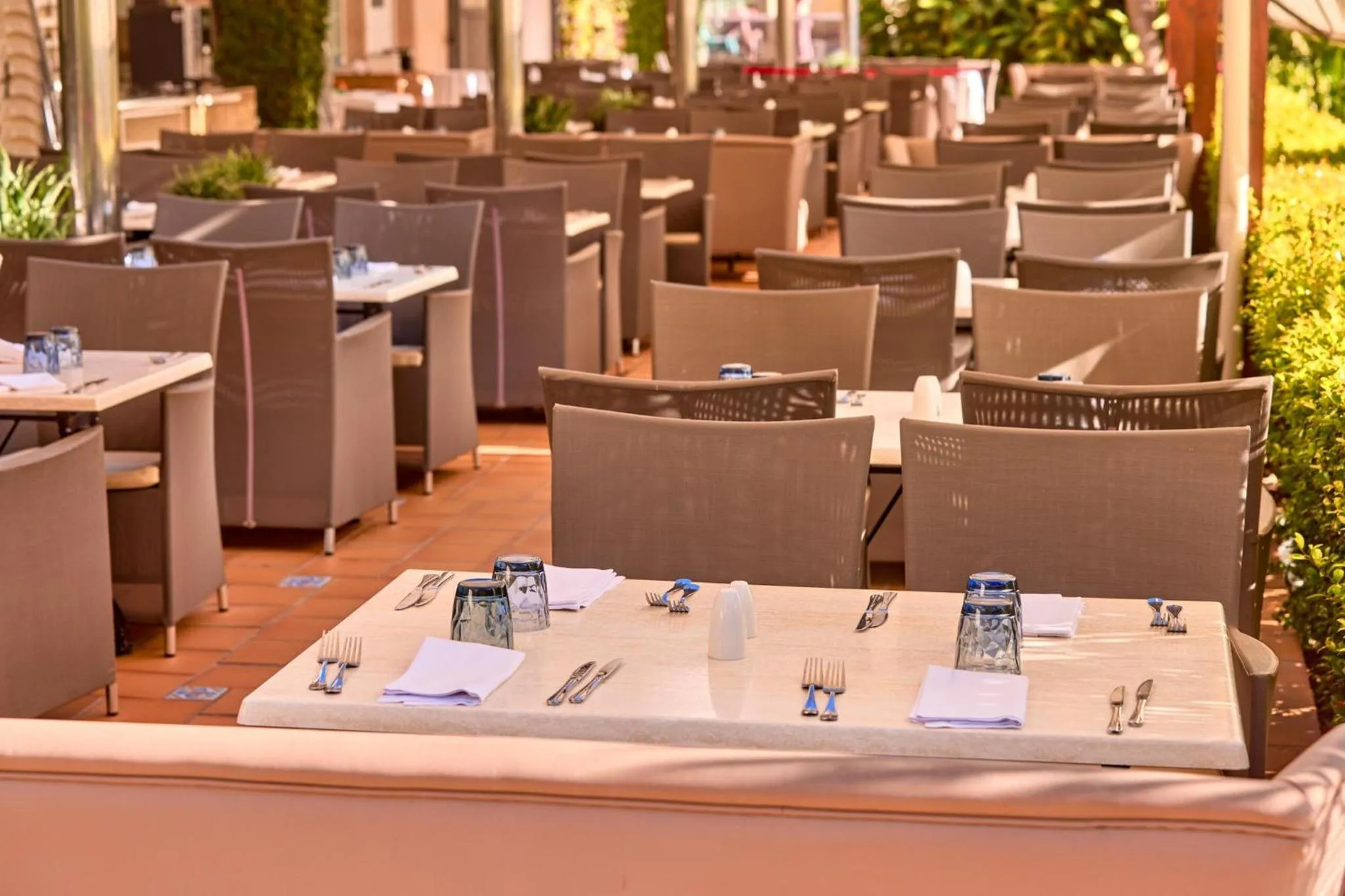 Restaurant/places to eat in Zafiro Palmanova