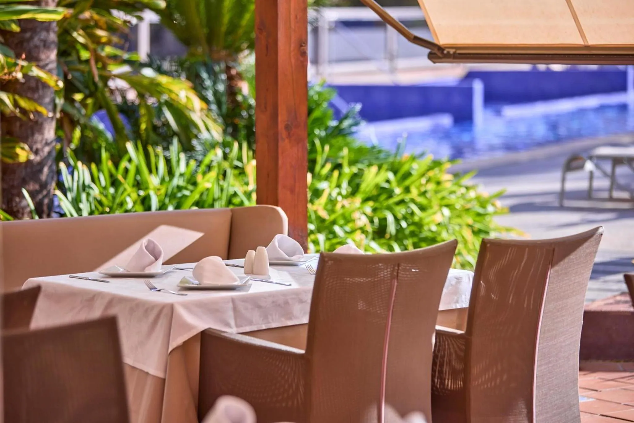 Restaurant/places to eat in Zafiro Palmanova