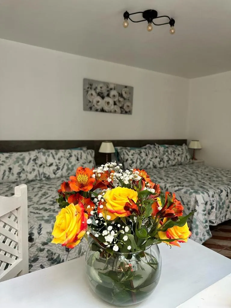 Bed in Casa Balthazar Hostel