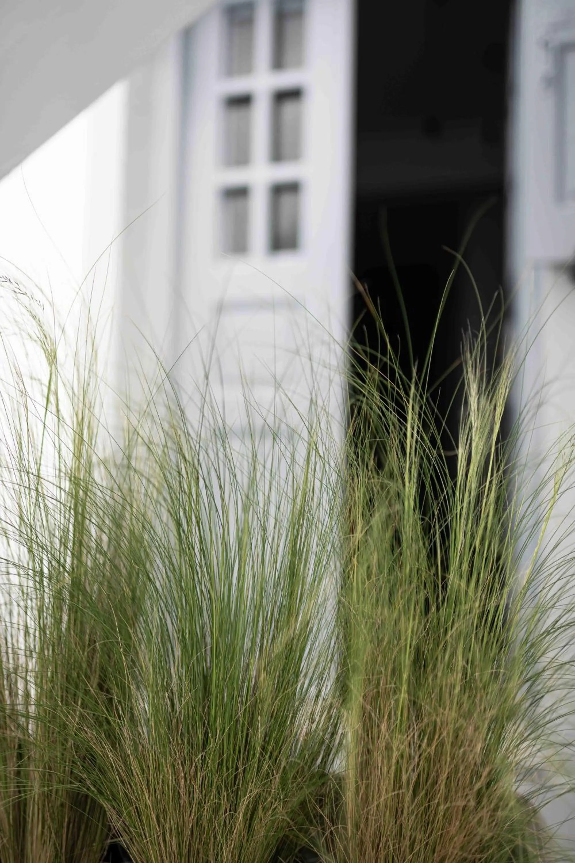 Day in La Roka, Cliffside Memories