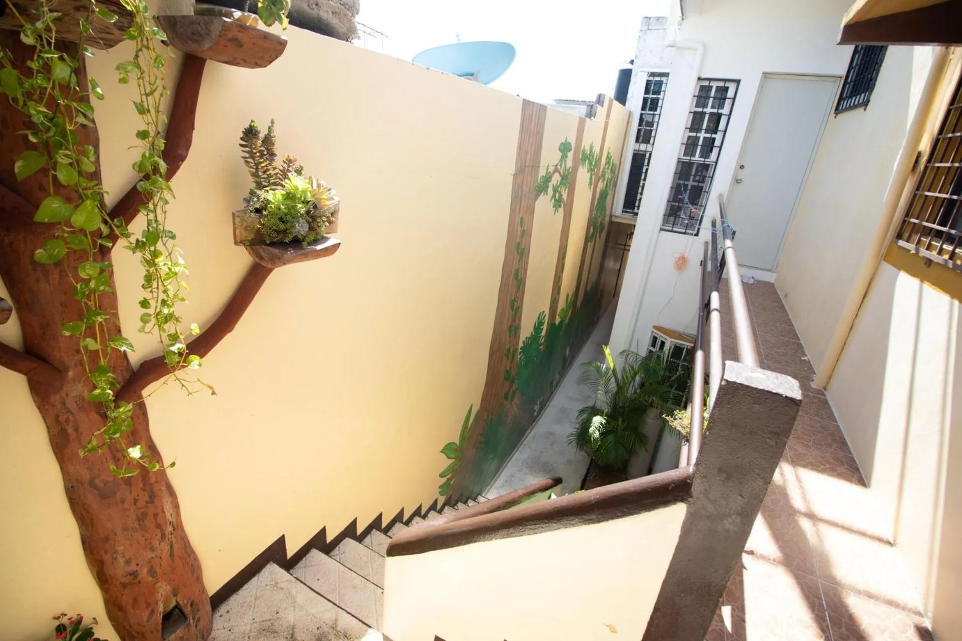 Patio in La Casa Del Almendro