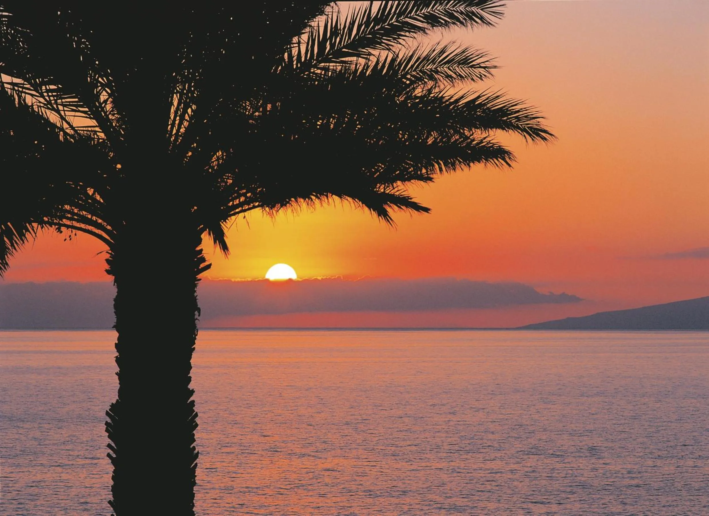 View (from property/room) in Atlantic Holiday Hotel