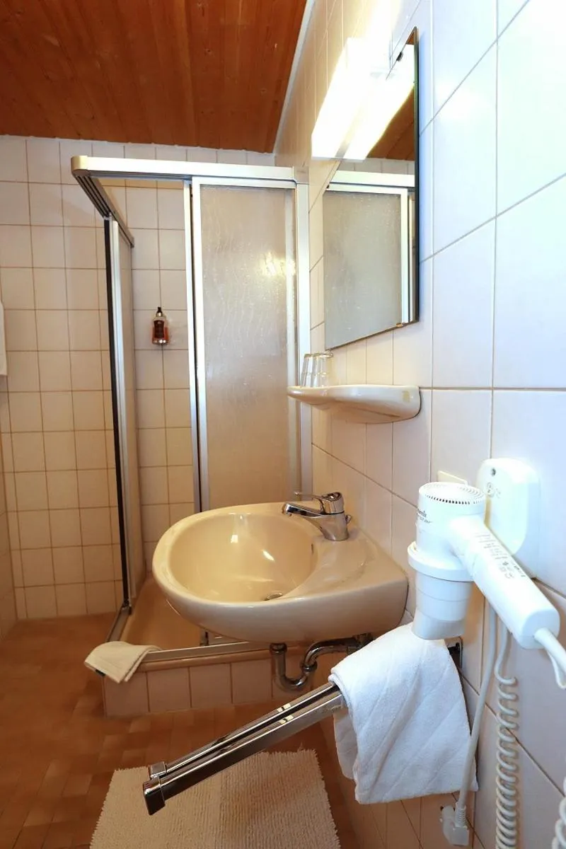 Shower in Gasthof Rebland