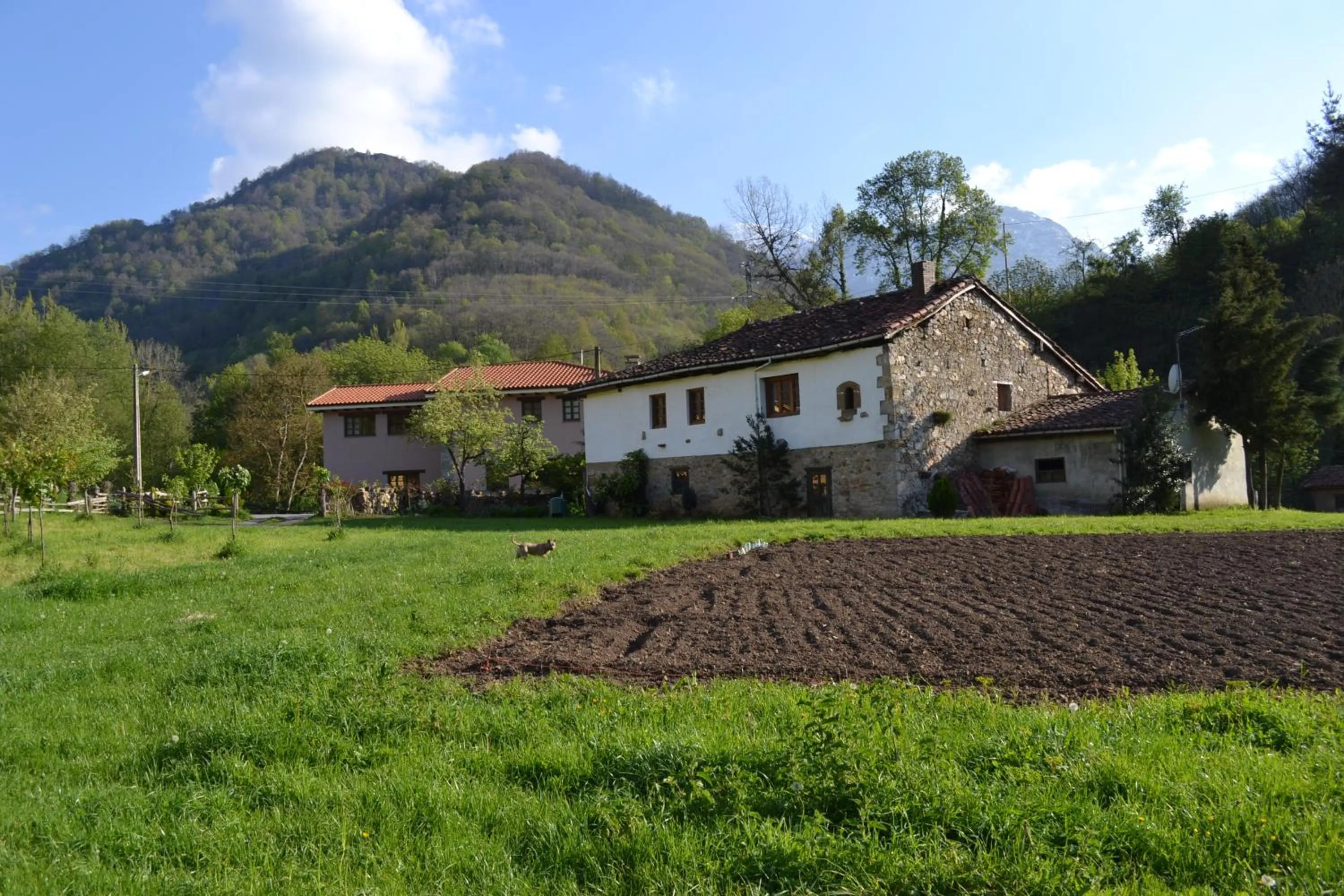 Property building in Alesga Hotel Rural - Valles del Oso -Asturias