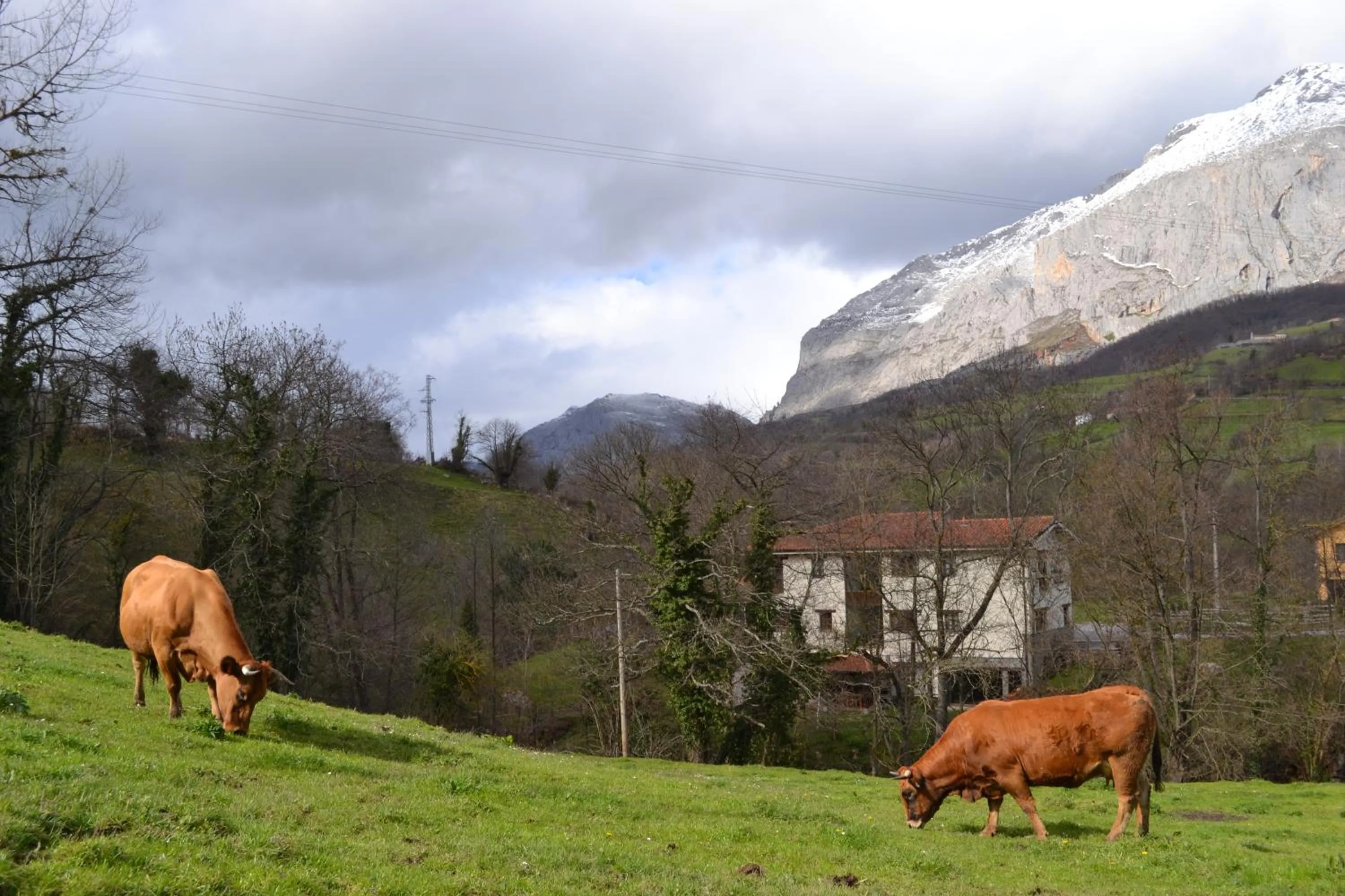 Property building in Alesga Hotel Rural - Valles del Oso -Asturias