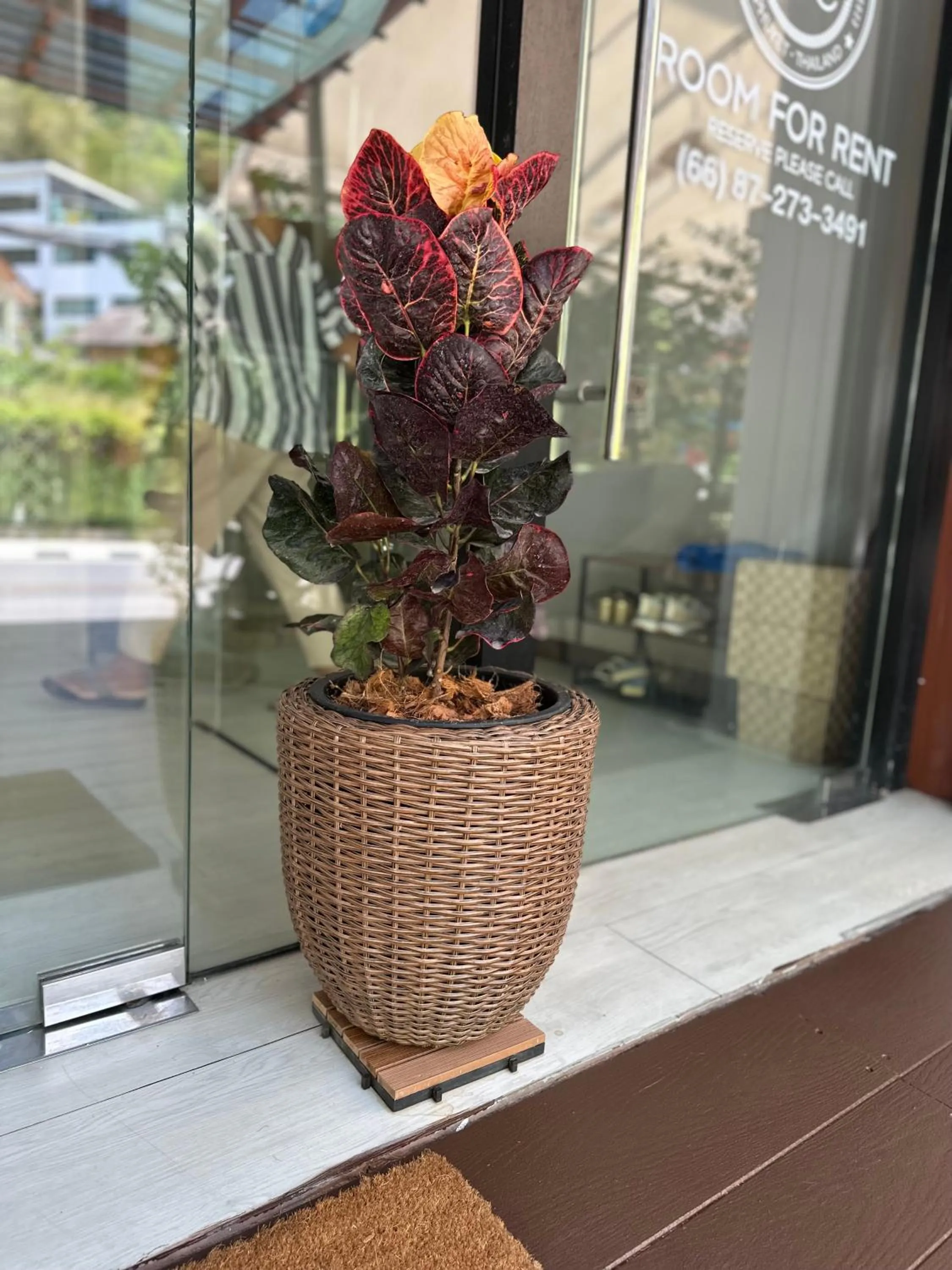 Property building in Kata Sea Blue