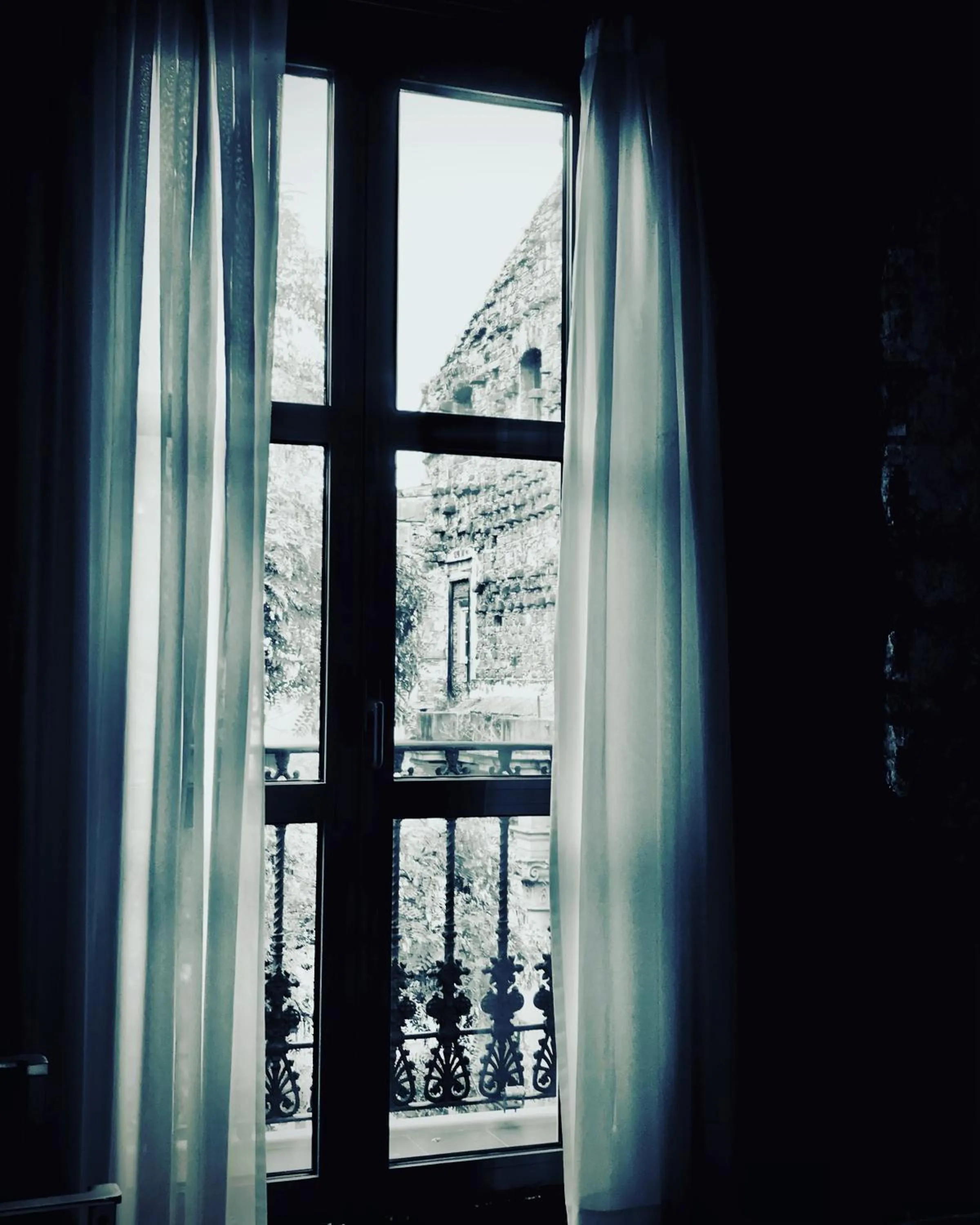 Balcony/Terrace in Hotel Sant Agustí