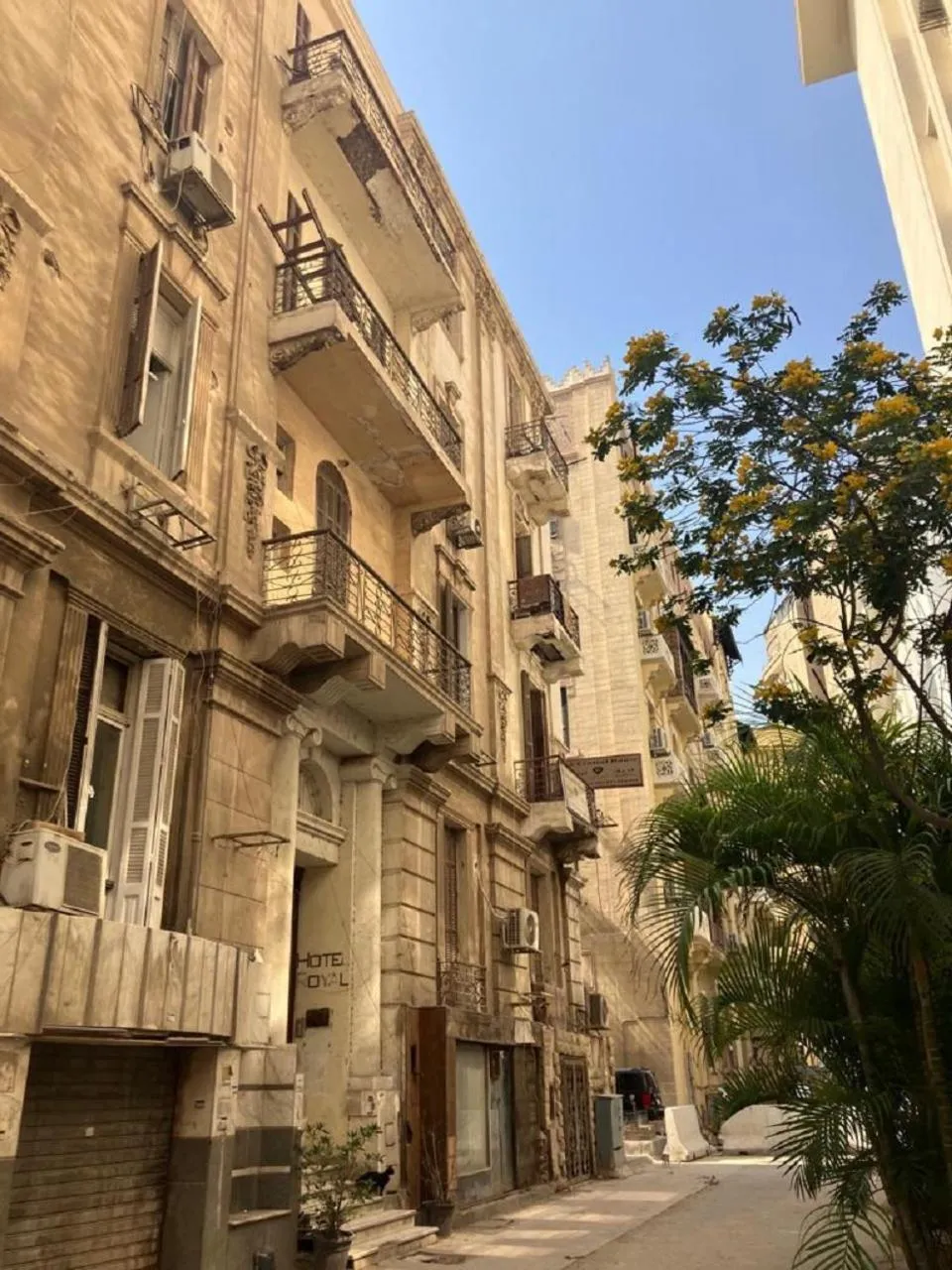 Property building in cairo central house