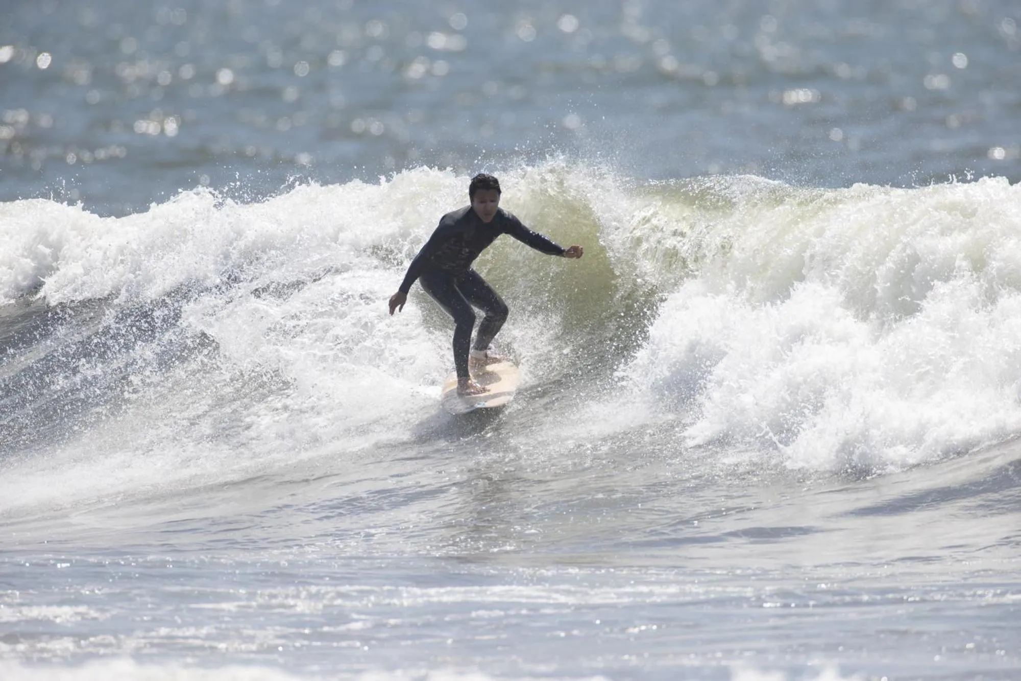 Beach in HOTEL COCOA RESORT
