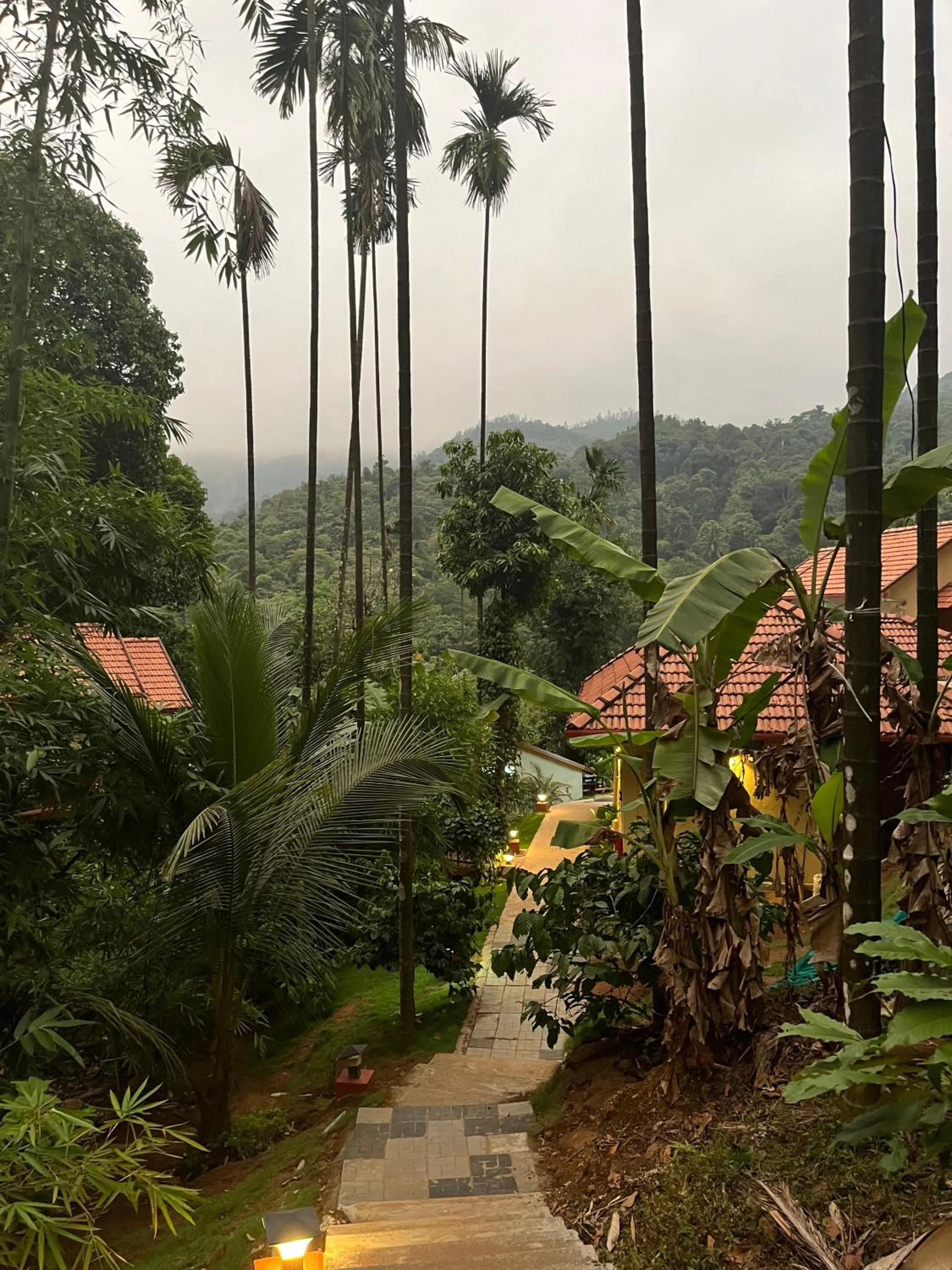 Area and facilities in Hill Crest Resort - Coorg