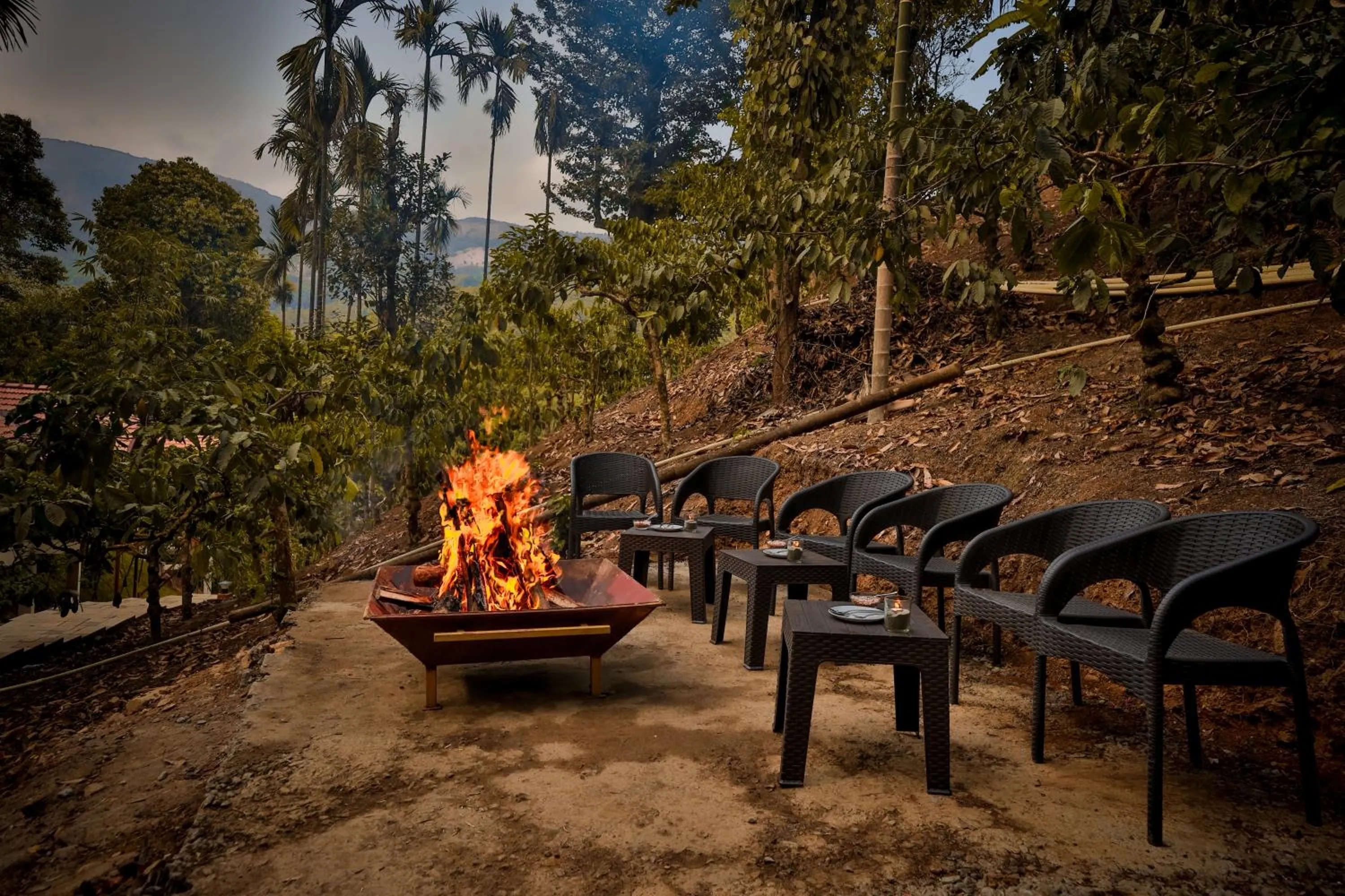 flat iron in Hill Crest Resort - Coorg
