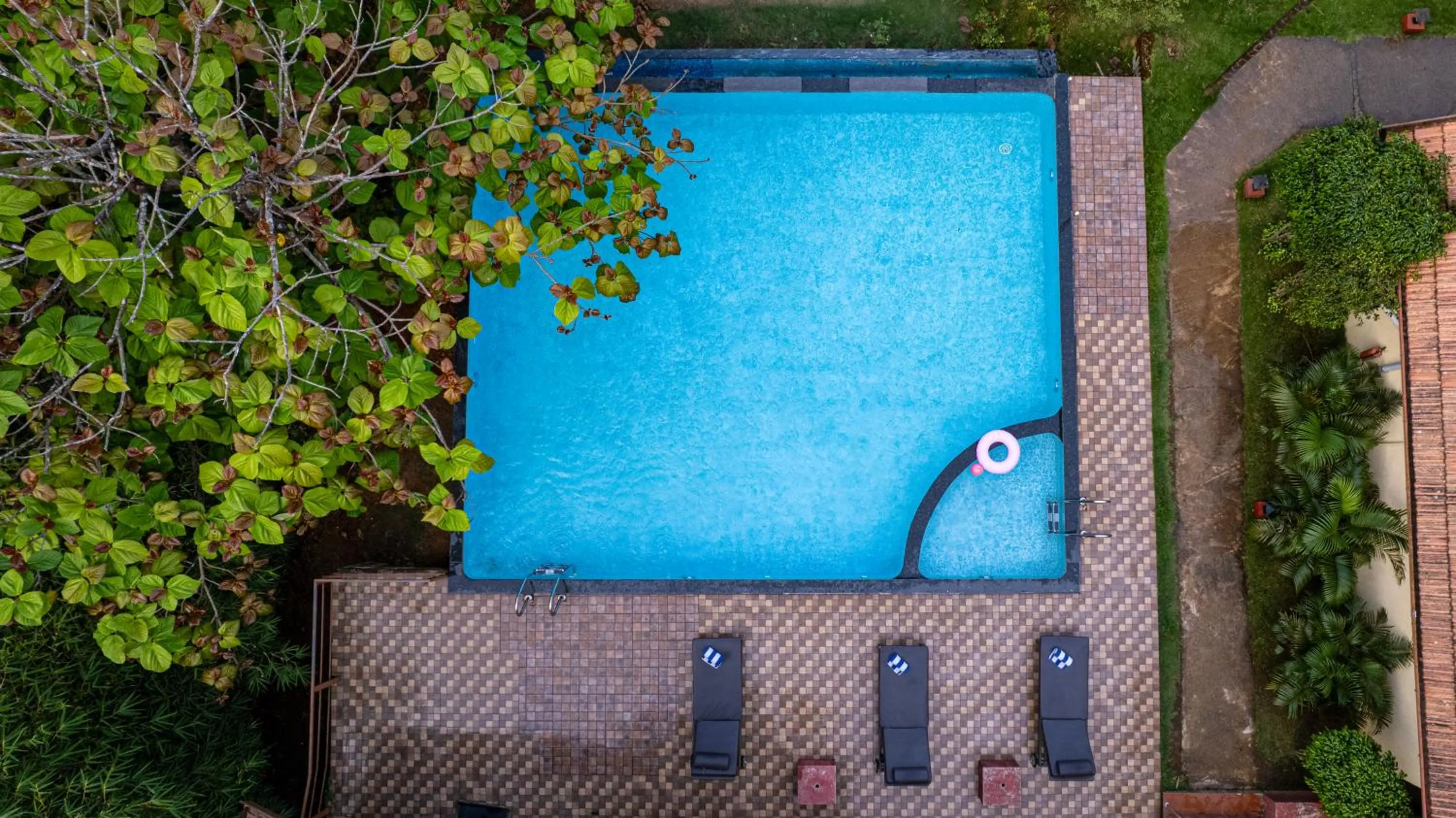 Swimming pool in Hill Crest Resort - Coorg