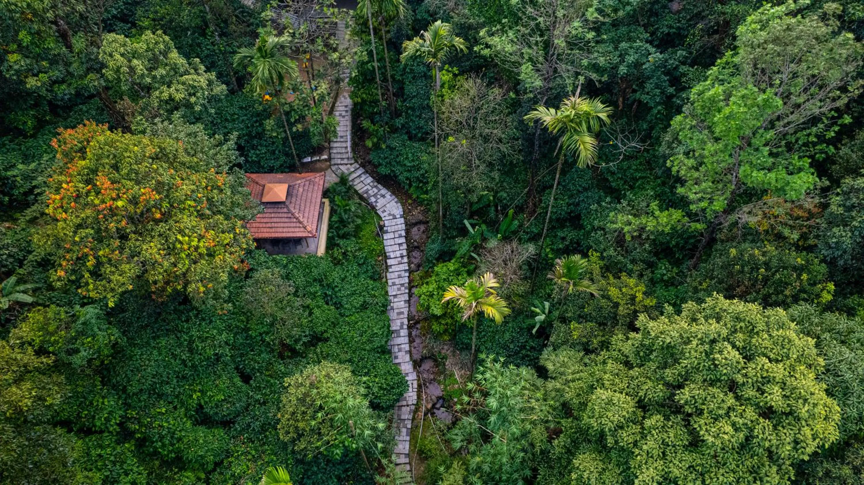 Bird's eye view in Hill Crest Resort - Coorg