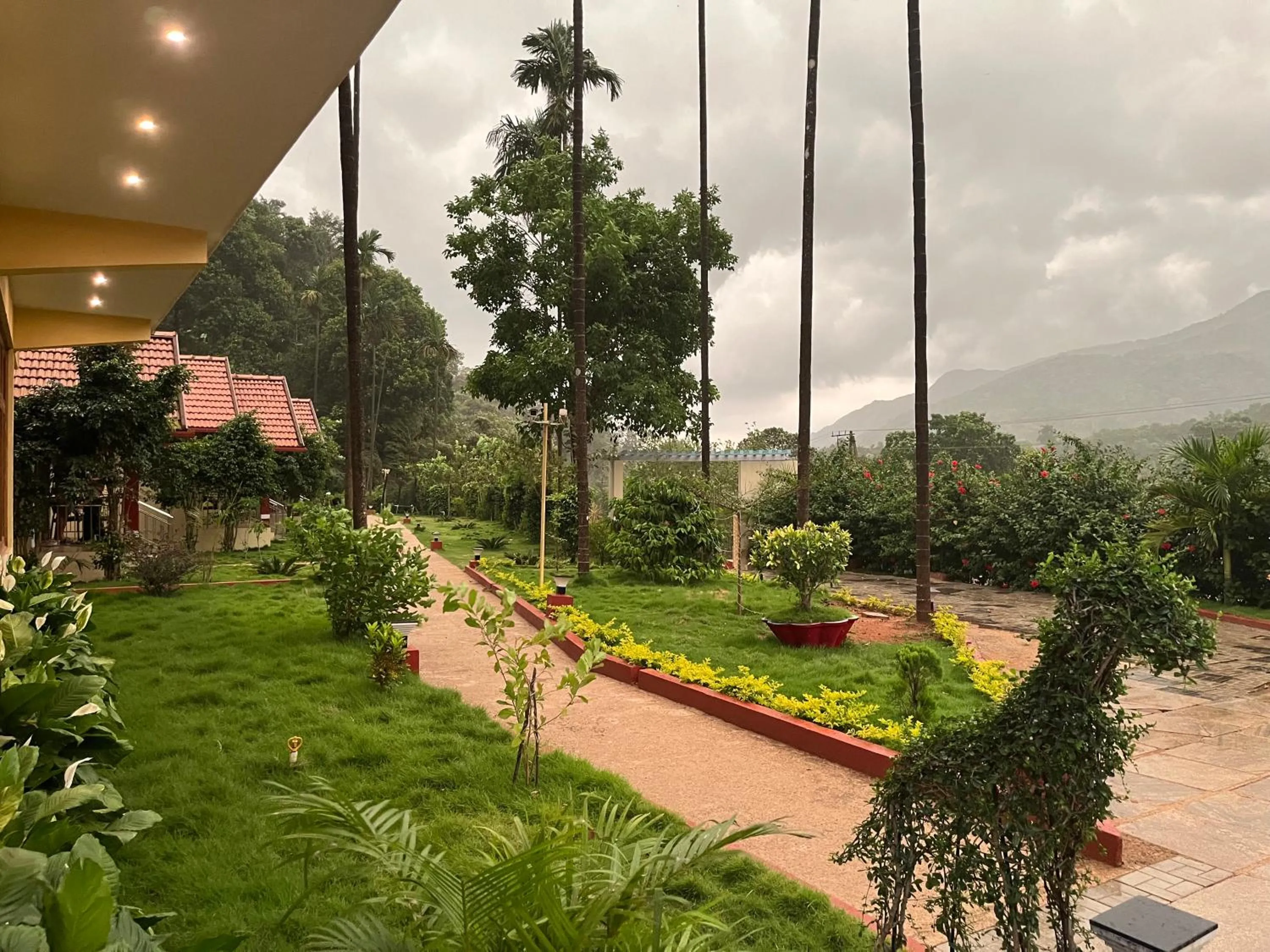 View (from property/room) in Hill Crest Resort - Coorg