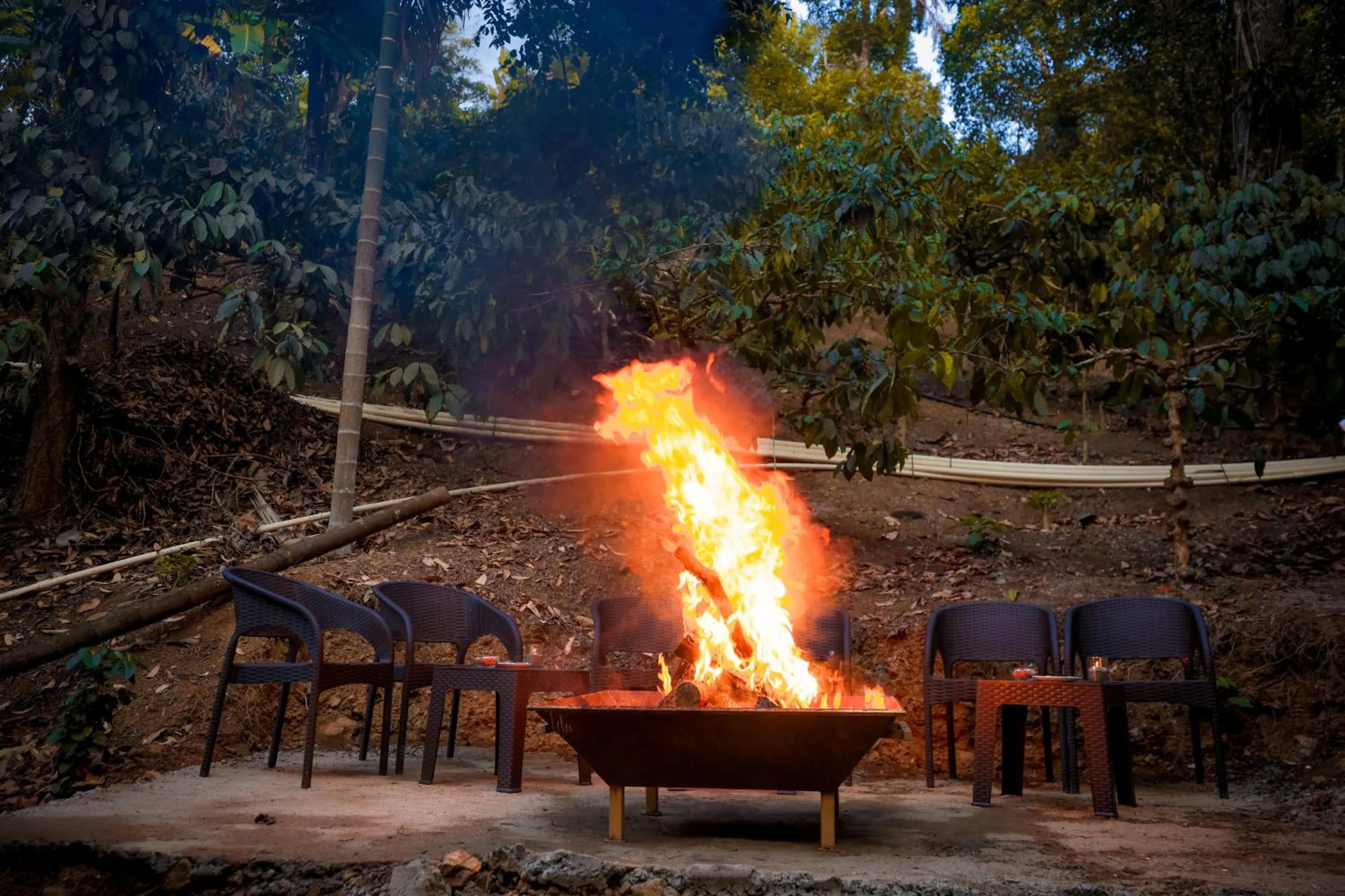 flat iron in Hill Crest Resort - Coorg