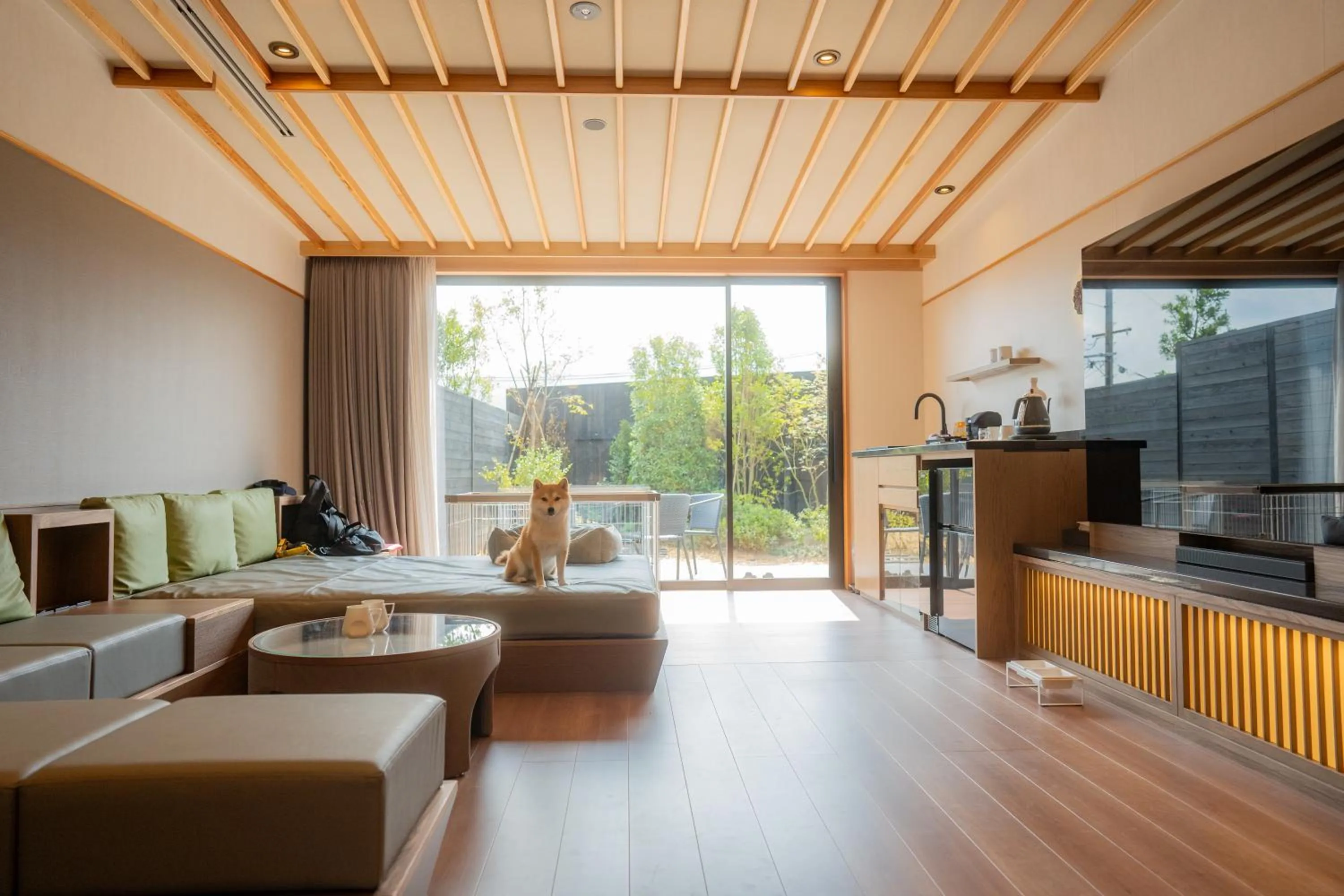 Photo of the whole room in UreshinoOnsen URESHINO YADOYA