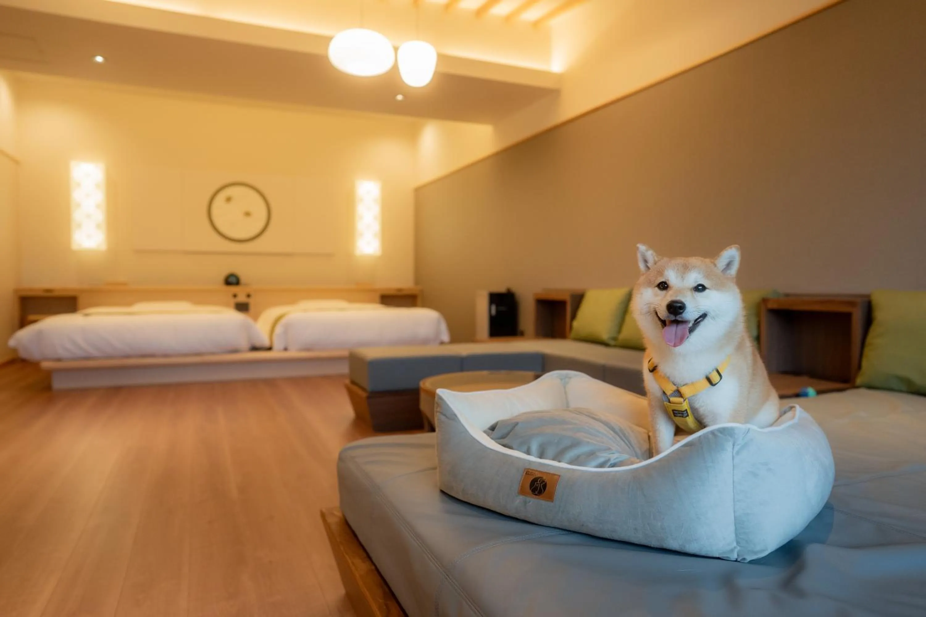 Photo of the whole room, Bed in UreshinoOnsen URESHINO YADOYA