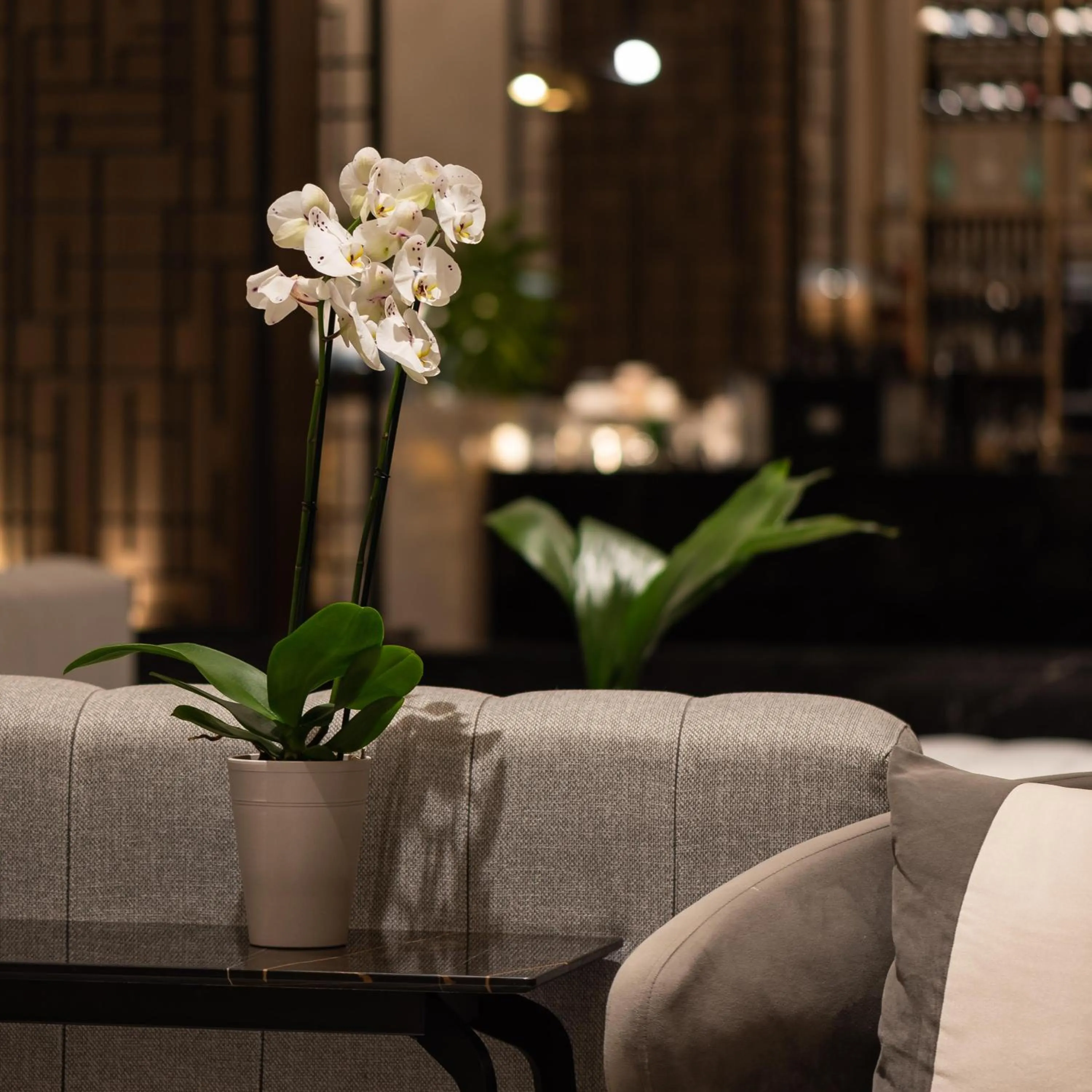 Lobby or reception in Theartemis Palace