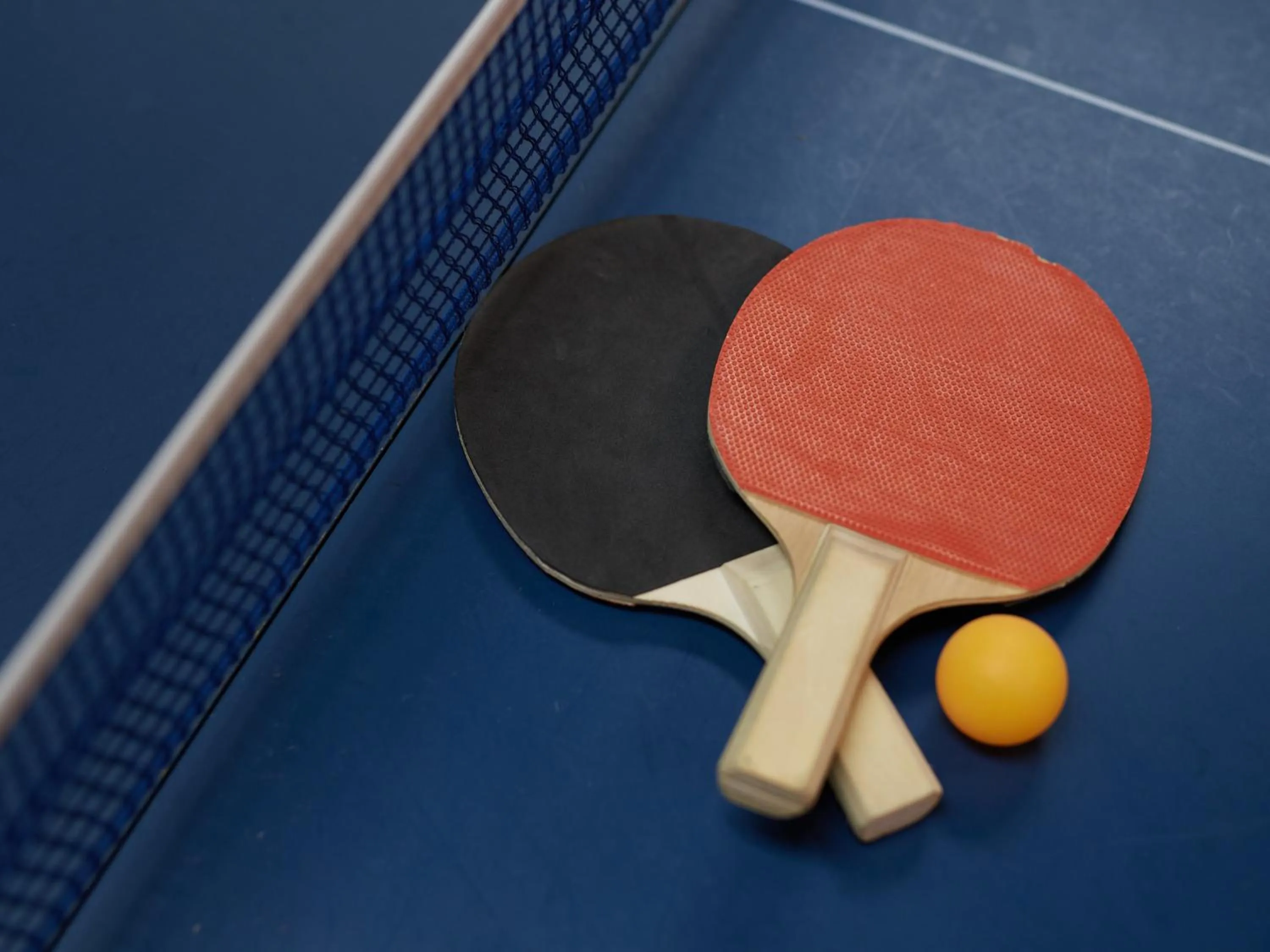 Table tennis in Izu Atagawa Onsen Hotel Gyokuryu